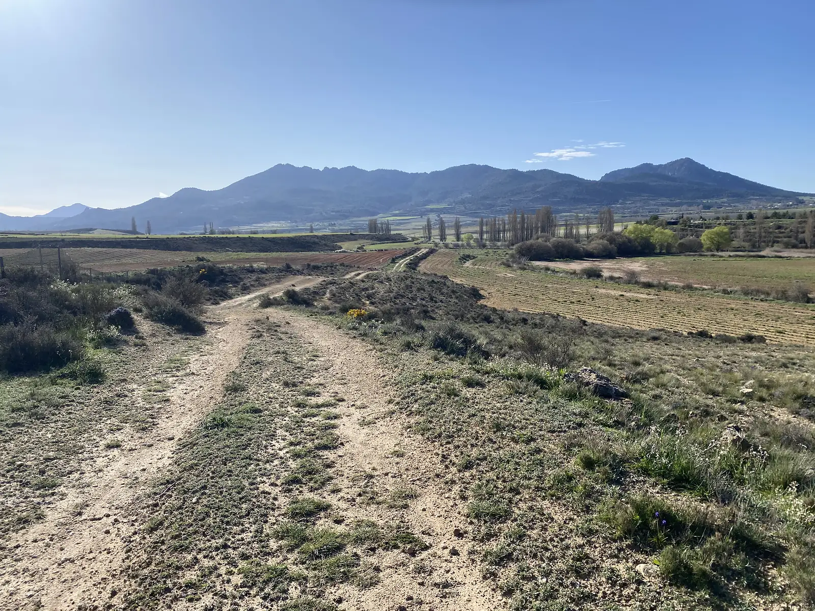A dirt farm track running between ploughed fields and a line of poplars towards a long blue mountain ridge.