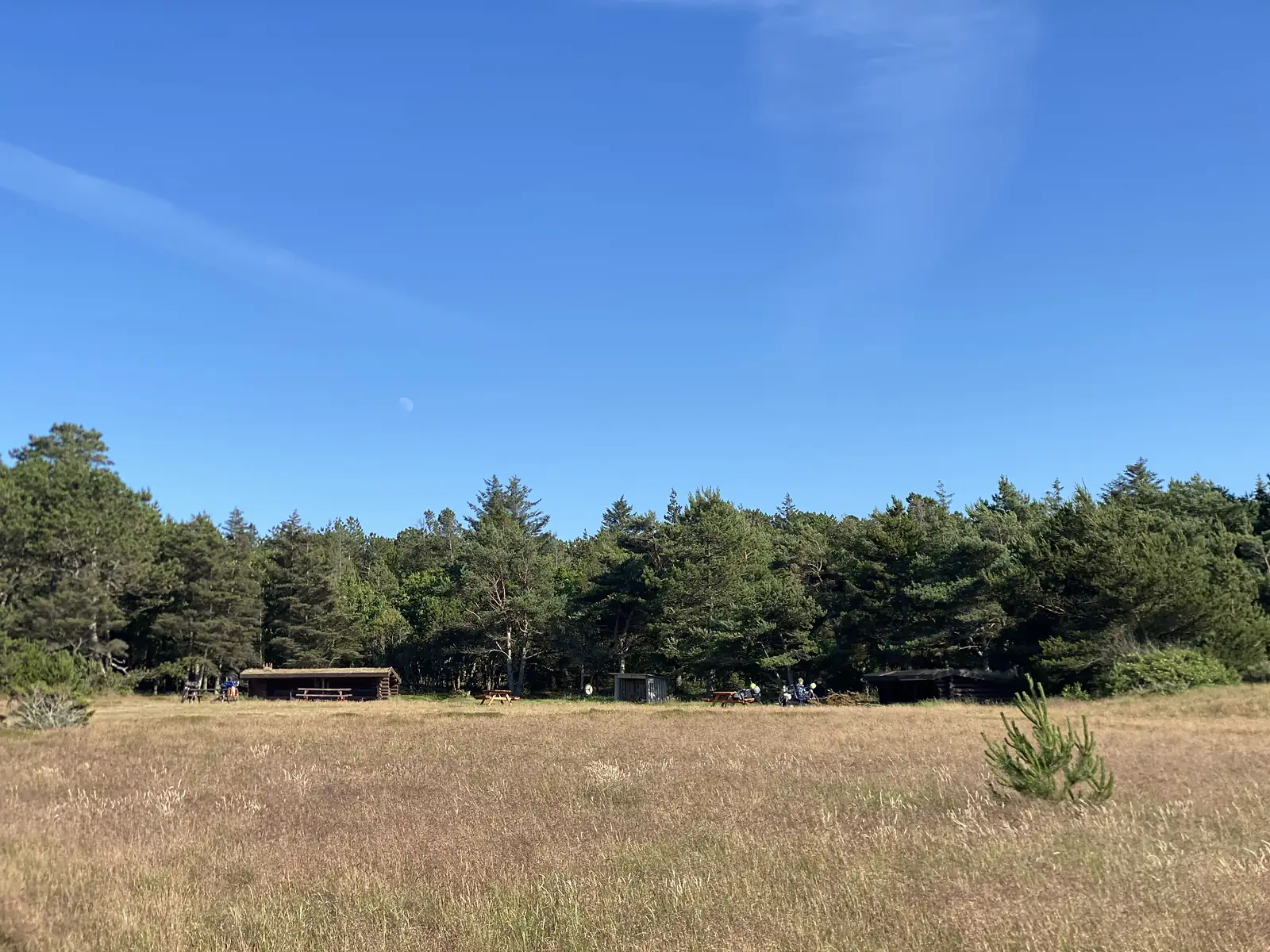 Timber shelter cabins and picnic tables at the edge of a pine wood across a rough grass clearing, with cyclists and bikes at one of them.