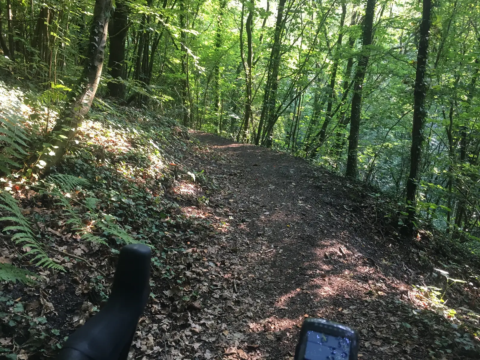 A leaf-strewn dirt path curving through dappled woodland, with the rider's handlebar bag and a GPS unit visible at the bottom of the frame.