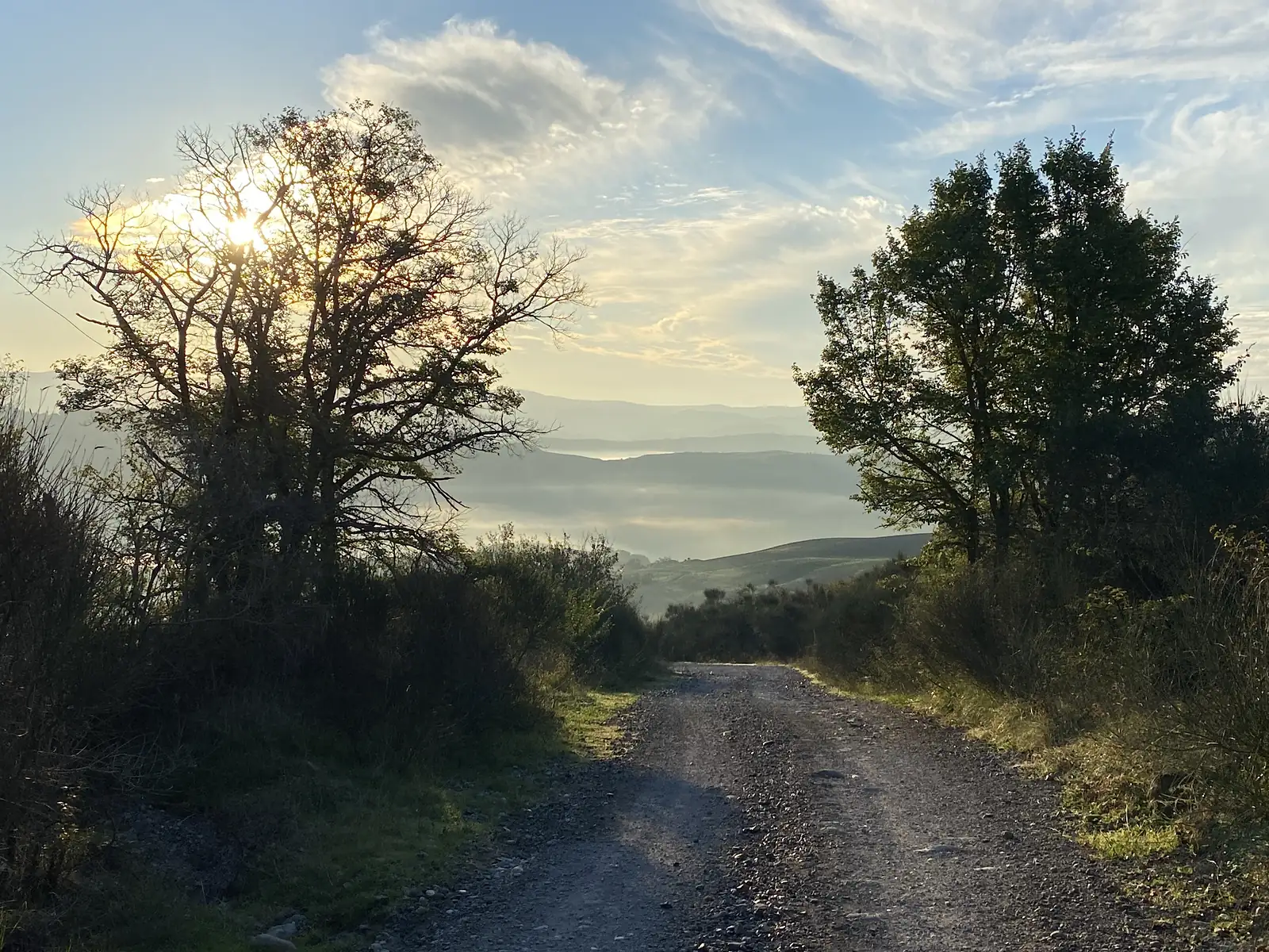 A gravel track descending between trees towards a mist-filled valley, low morning sun breaking through branches on the left.