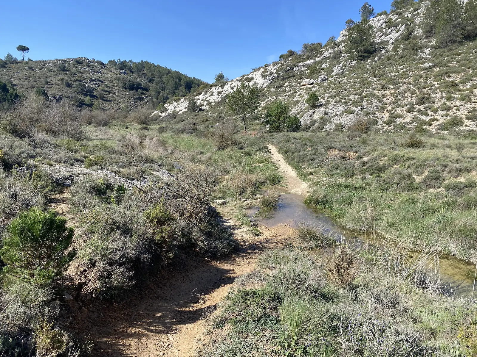 A narrow footpath crossing a shallow stream in a scrub-filled valley below white limestone crags.
