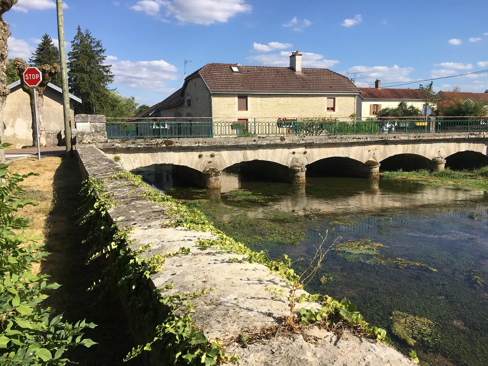 A multi-arched stone bridge with green wrought-iron railings and flower boxes crosses a weed-strewn river, with village houses beyond.