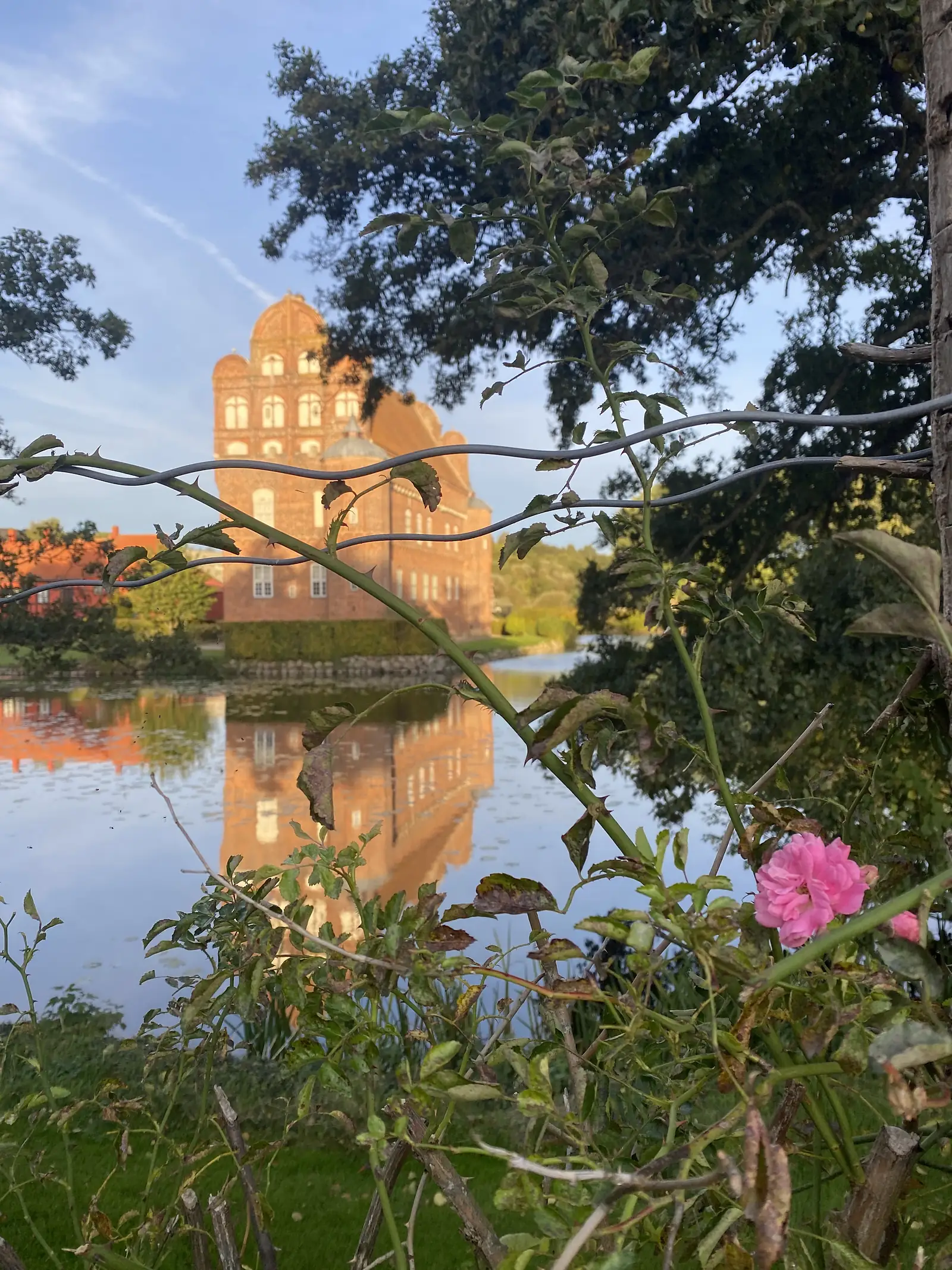 A red-brick gabled manor house reflected in its moat, seen through rose branches with a single pink flower still in bloom.