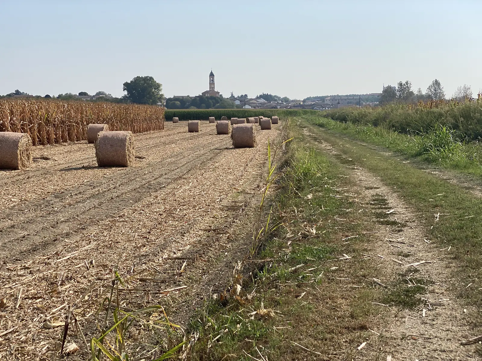 Round straw bales lie scattered across a harvested field, with a village bell tower visible above the treeline in the distance.