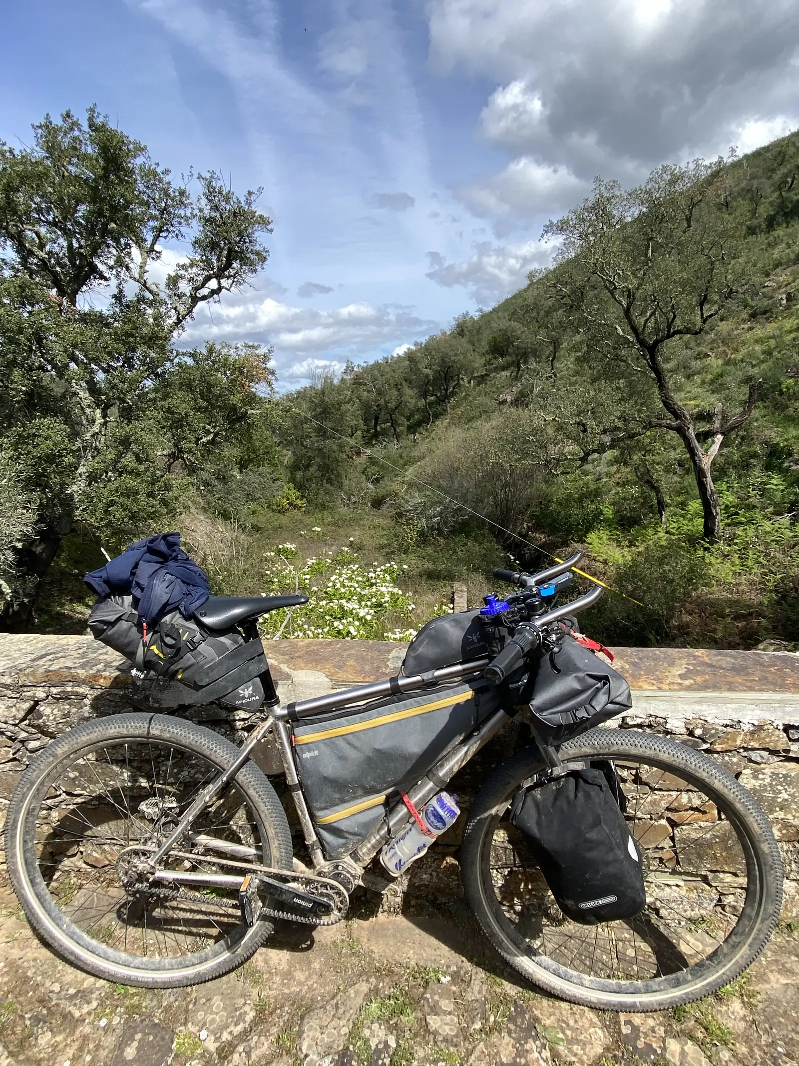 Fully loaded touring bike with panniers, saddlepack, bar bag and a rolled jacket, leaning against the low stone parapet of a bridge above a wooded valley of cork oaks.