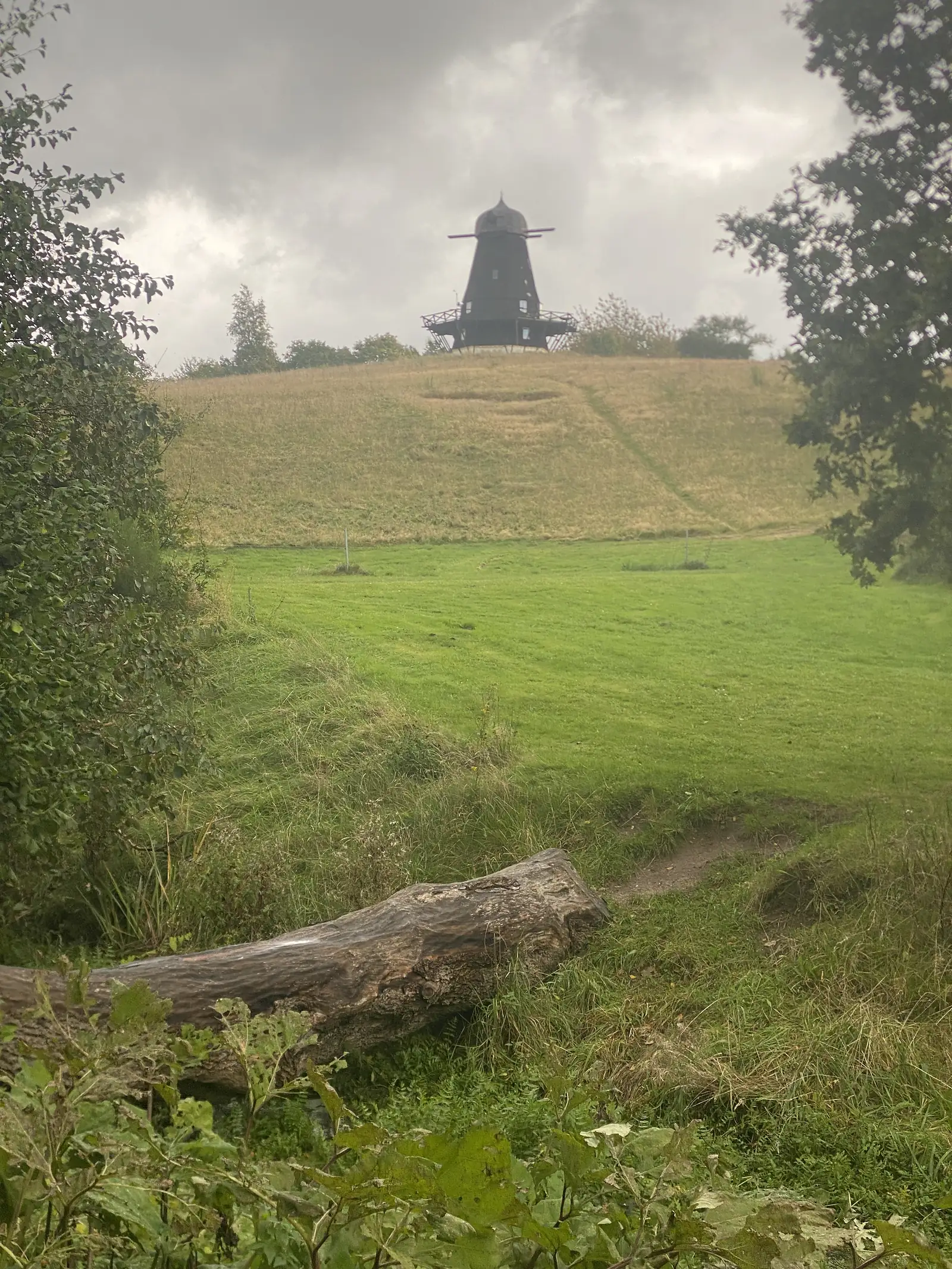 A black timber smock windmill with a domed cap standing on a bare hilltop above a green meadow.