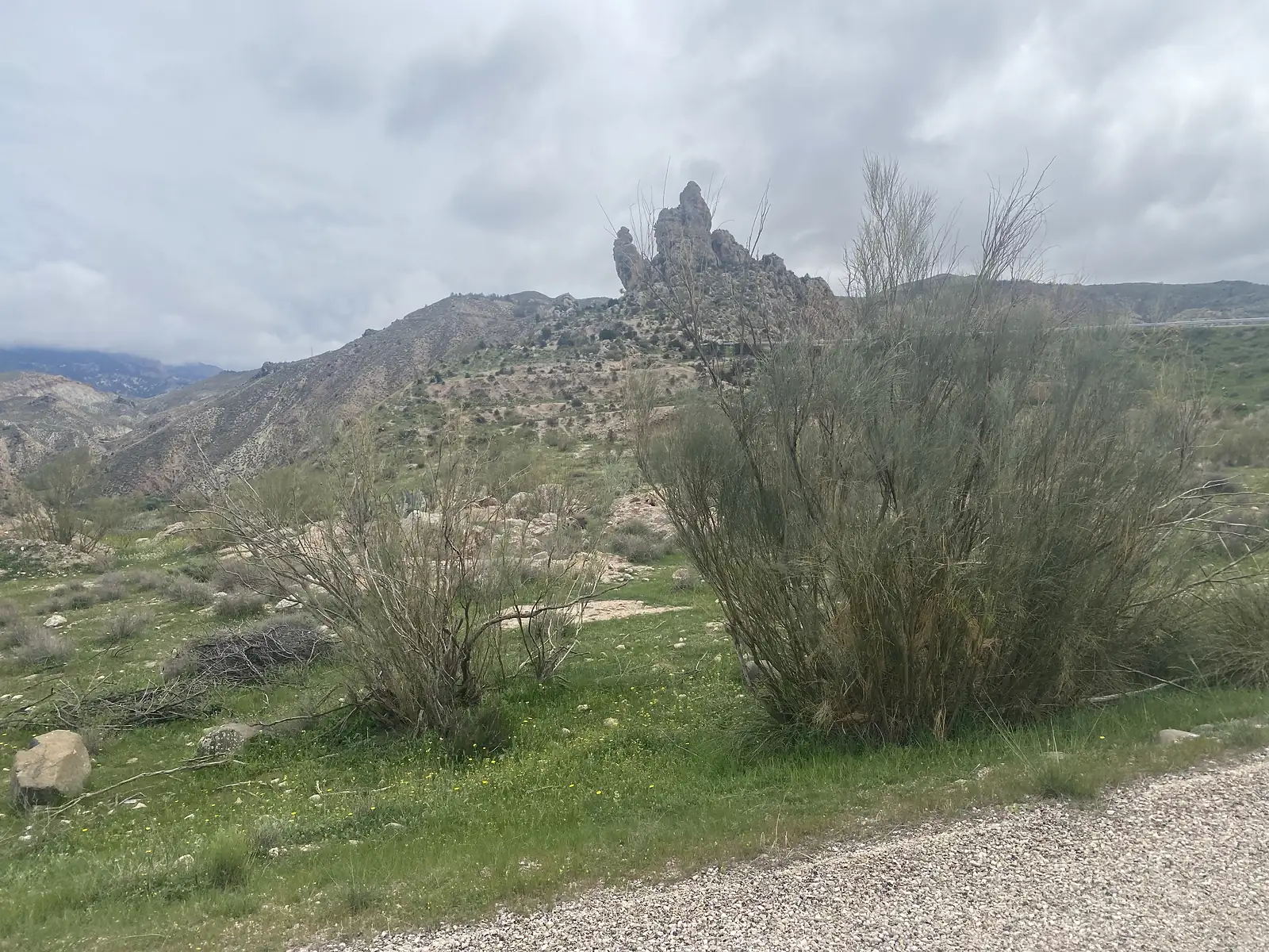 A jagged rock pinnacle standing on a ridge above eroded slopes, seen across bushes of broom from a gravel verge.