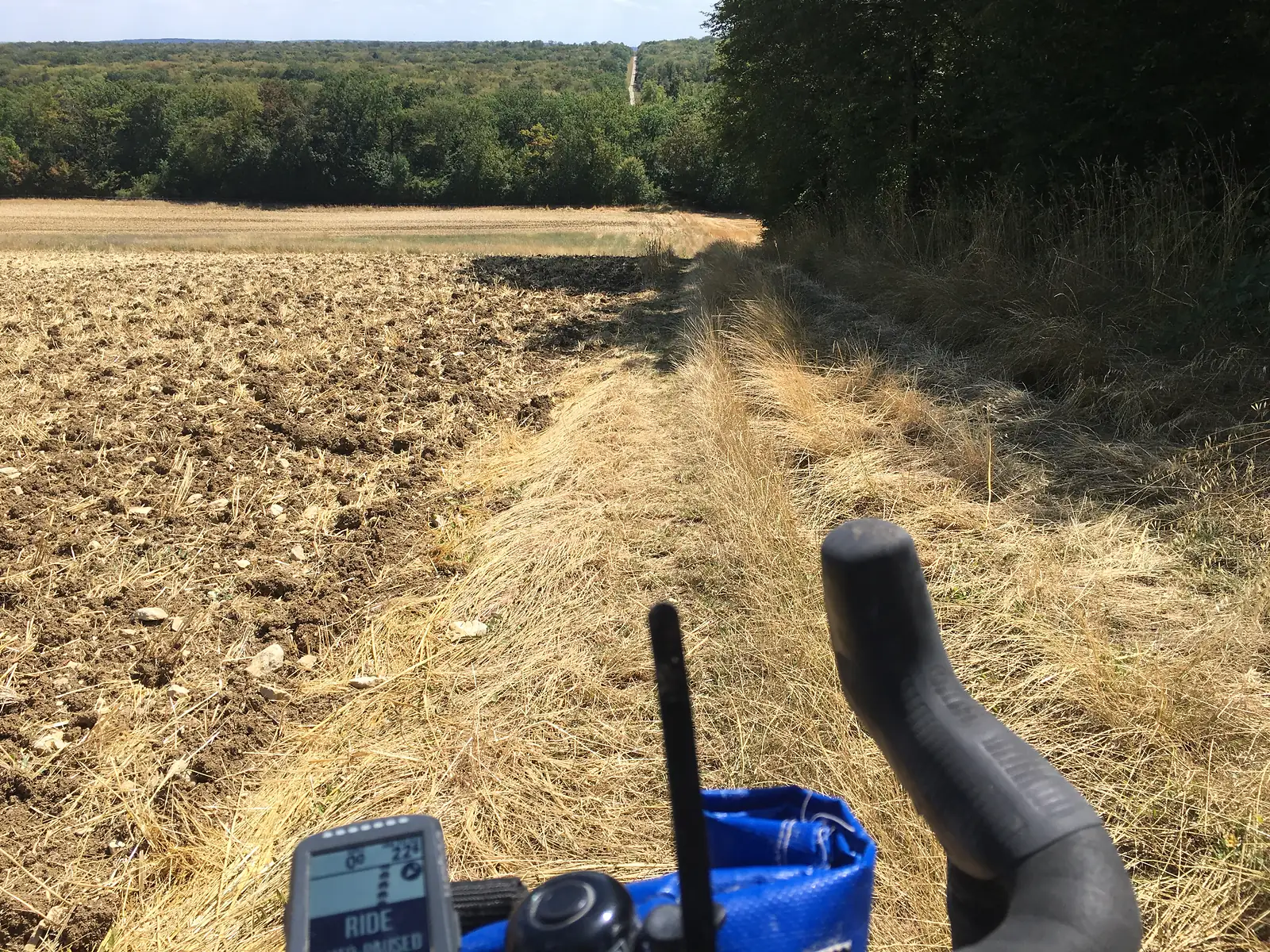 A dirt track runs along the edge of a ploughed field towards a distant belt of woodland, bordered by dry grass and a hedgerow.