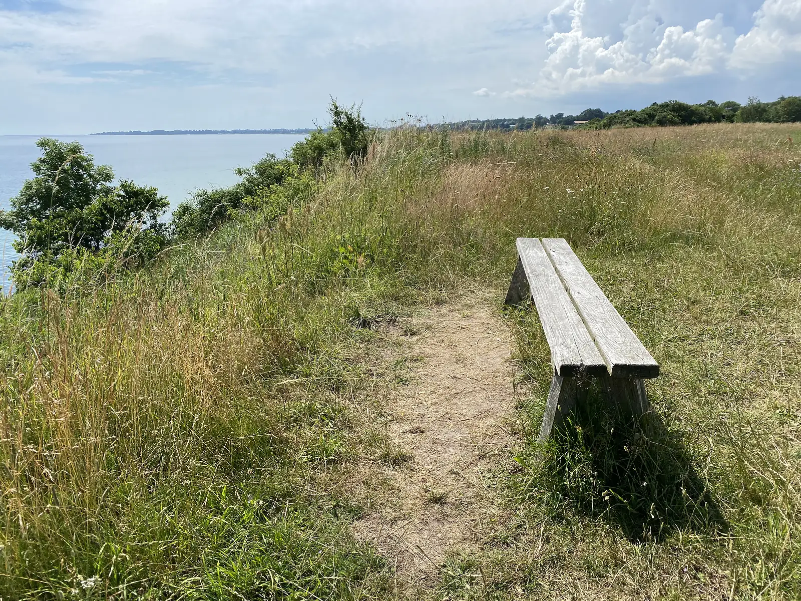 A weathered wooden bench on a grassy coastal clifftop path, looking out over a calm sea to a distant headland.