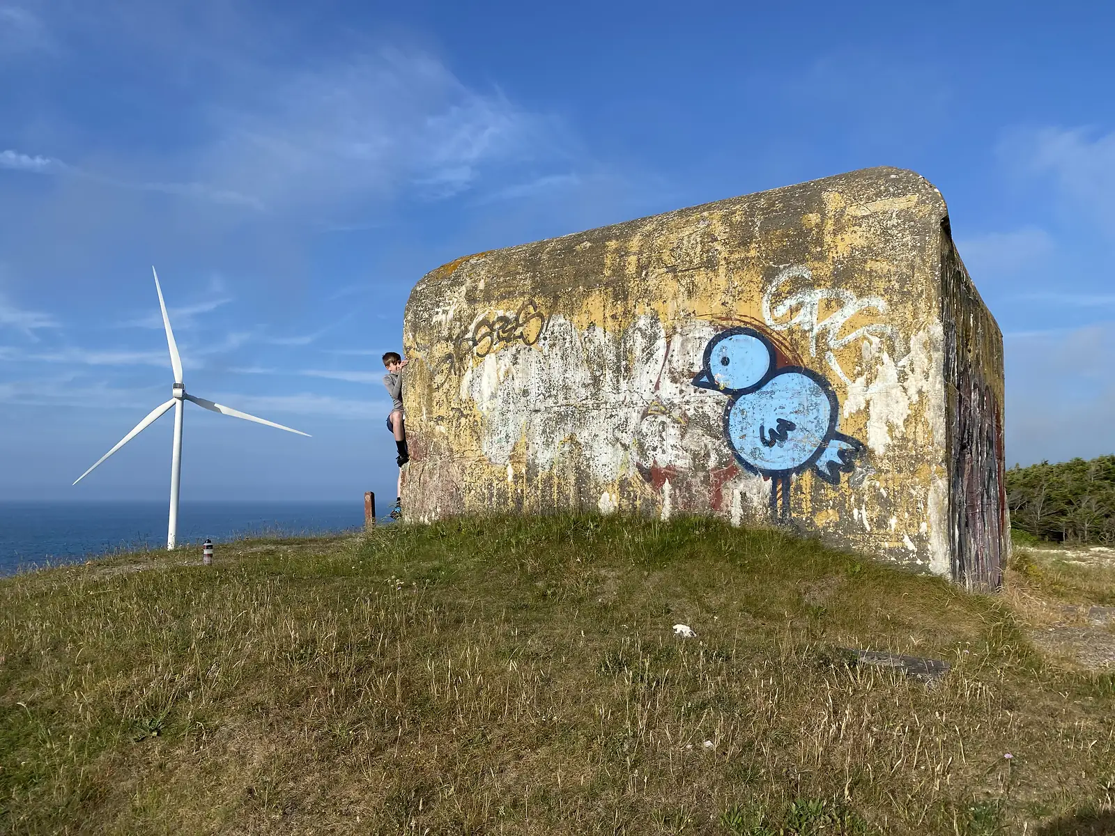 A young person climbing the graffiti-covered flank of a wartime concrete bunker on a grassy clifftop, with a wind turbine and the sea behind.