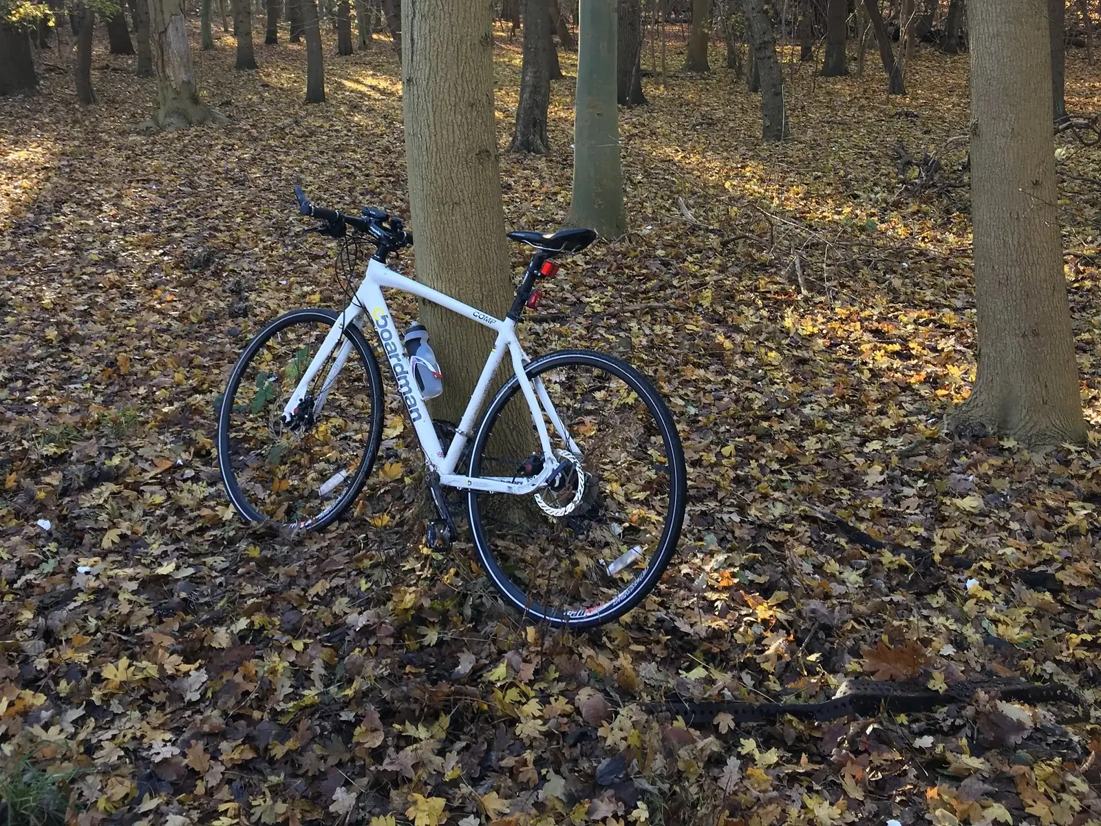  A white Boardman flat-bar hybrid leaning against a tree trunk in a bare wood, the ground carpeted with autumn leaves.