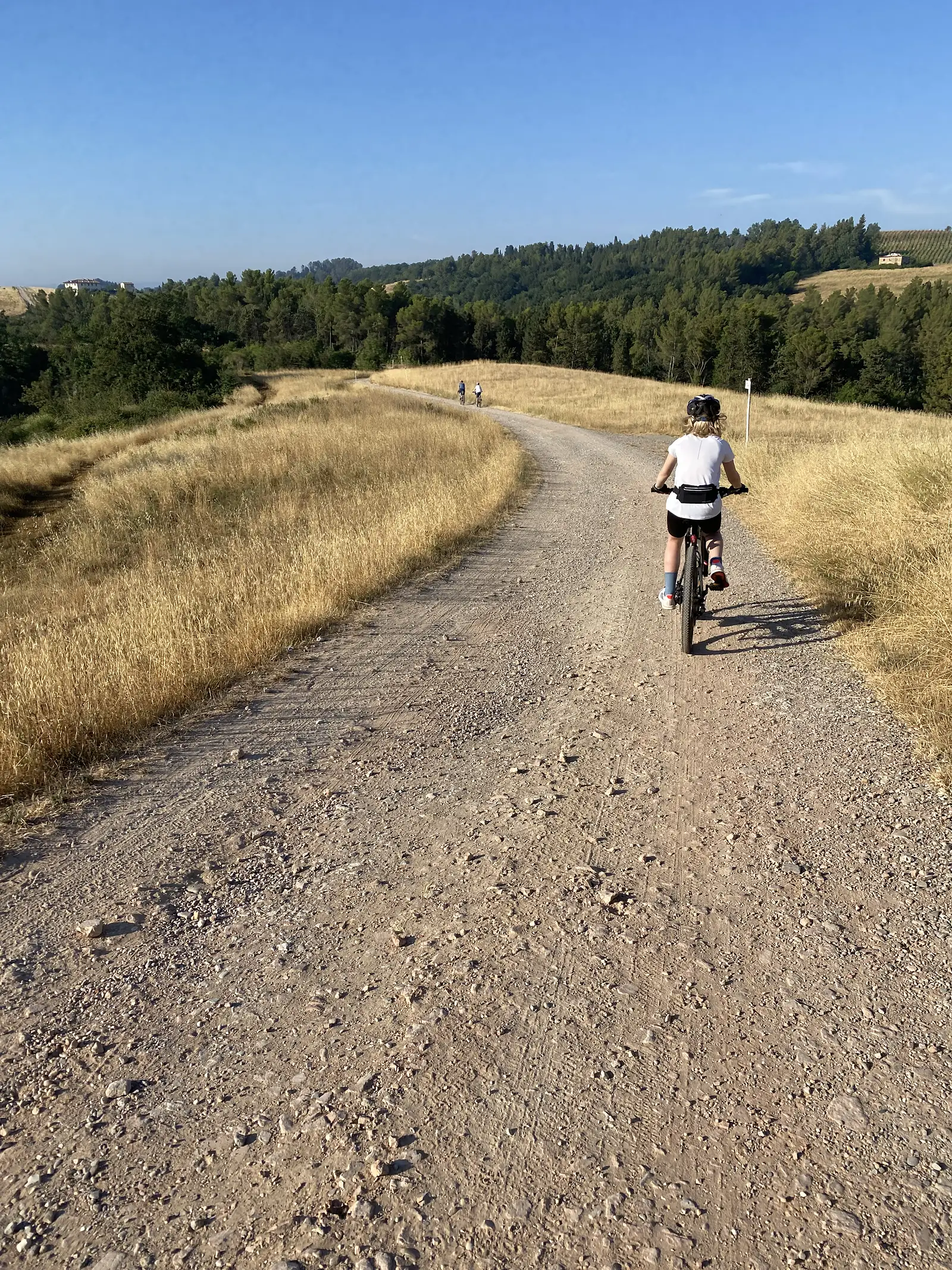 Cyclists ride in single file along a wide, stony gravel road bordered by dry grass and a line of trees under a clear sky.