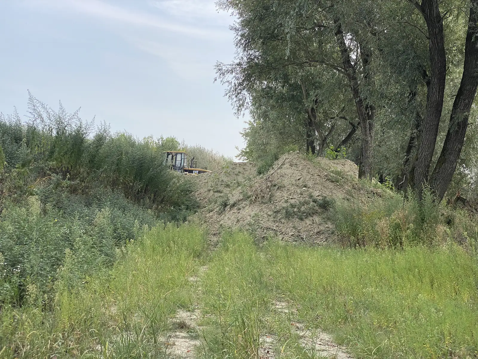 A mound of freshly dug earth sits beside a grassy track through waterside trees, with a yellow digger working in the background.