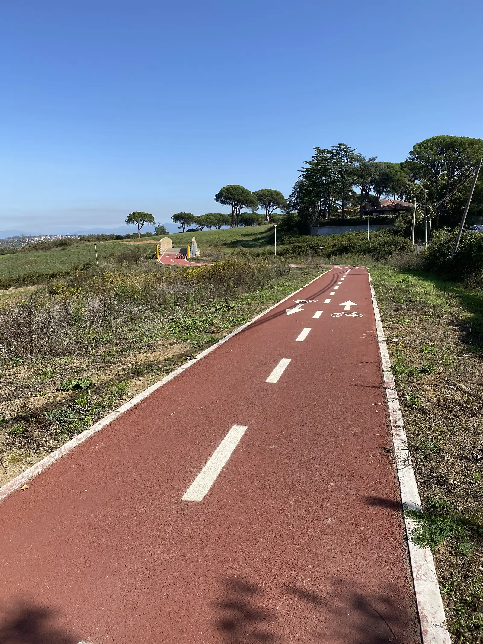 A red-surfaced cycle path marked with painted bike symbols and directional arrows, curving past cypress trees under a bright sky.
