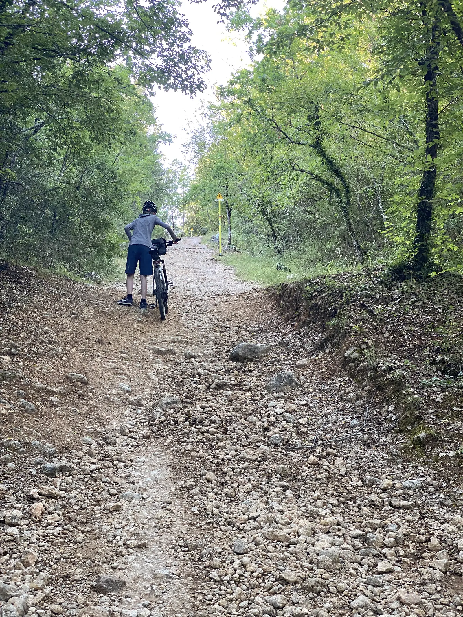 A cyclist pauses on a stony woodland track beside yellow Via Francigena route markers pointing the way ahead.