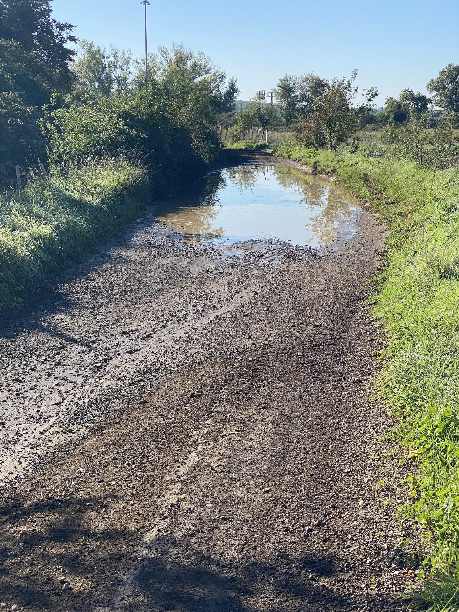 A ploughed dark-earth field bordered by a large flooded puddle reflecting overhanging trees, with a line of trees and hedgerow beyond under a clear sky.