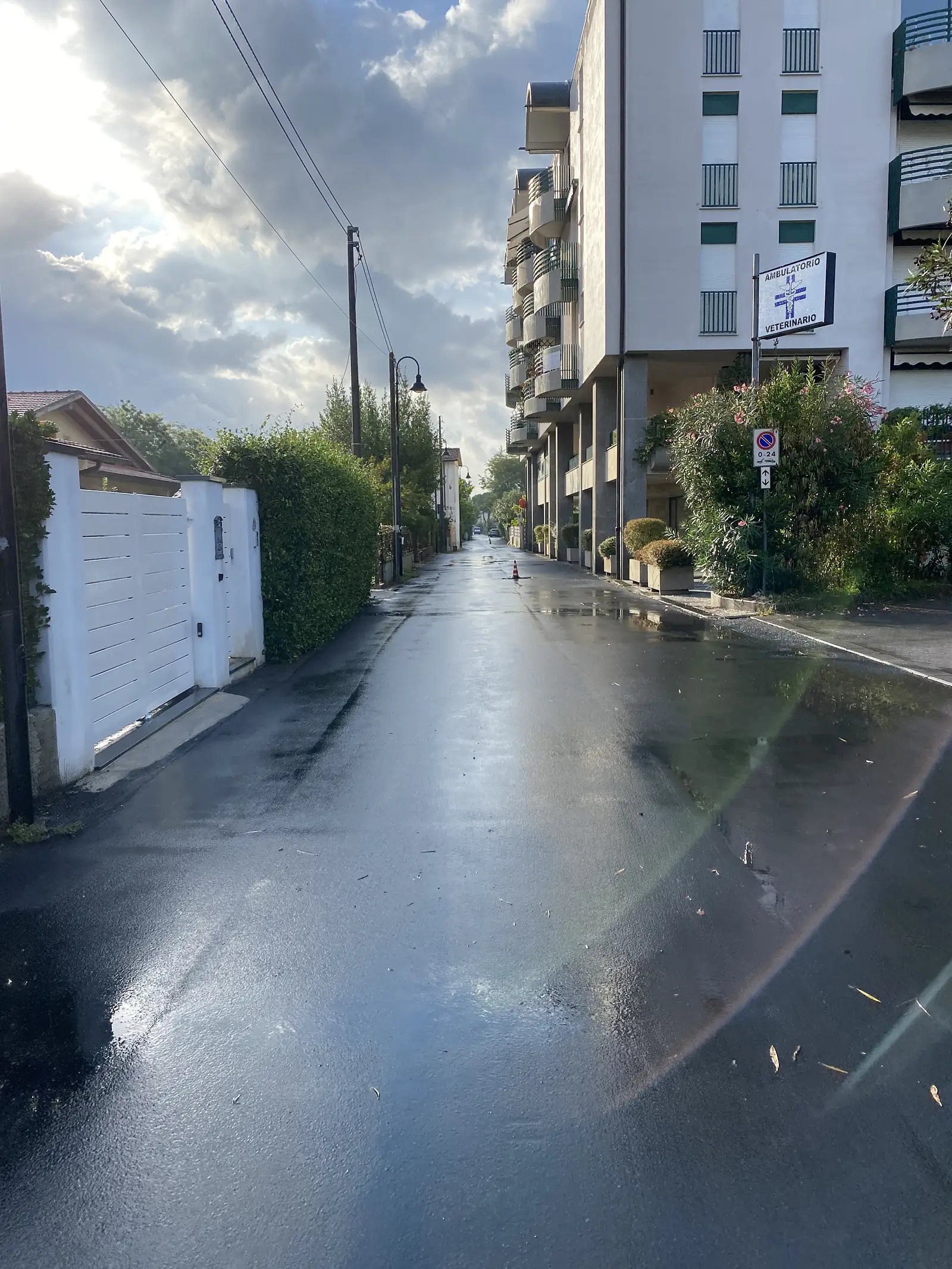 A wet residential street lined with shuttered apartment blocks and oleander bushes, a sign reading 'Ambulatorio Veterinario' fixed above a no-parking sign.