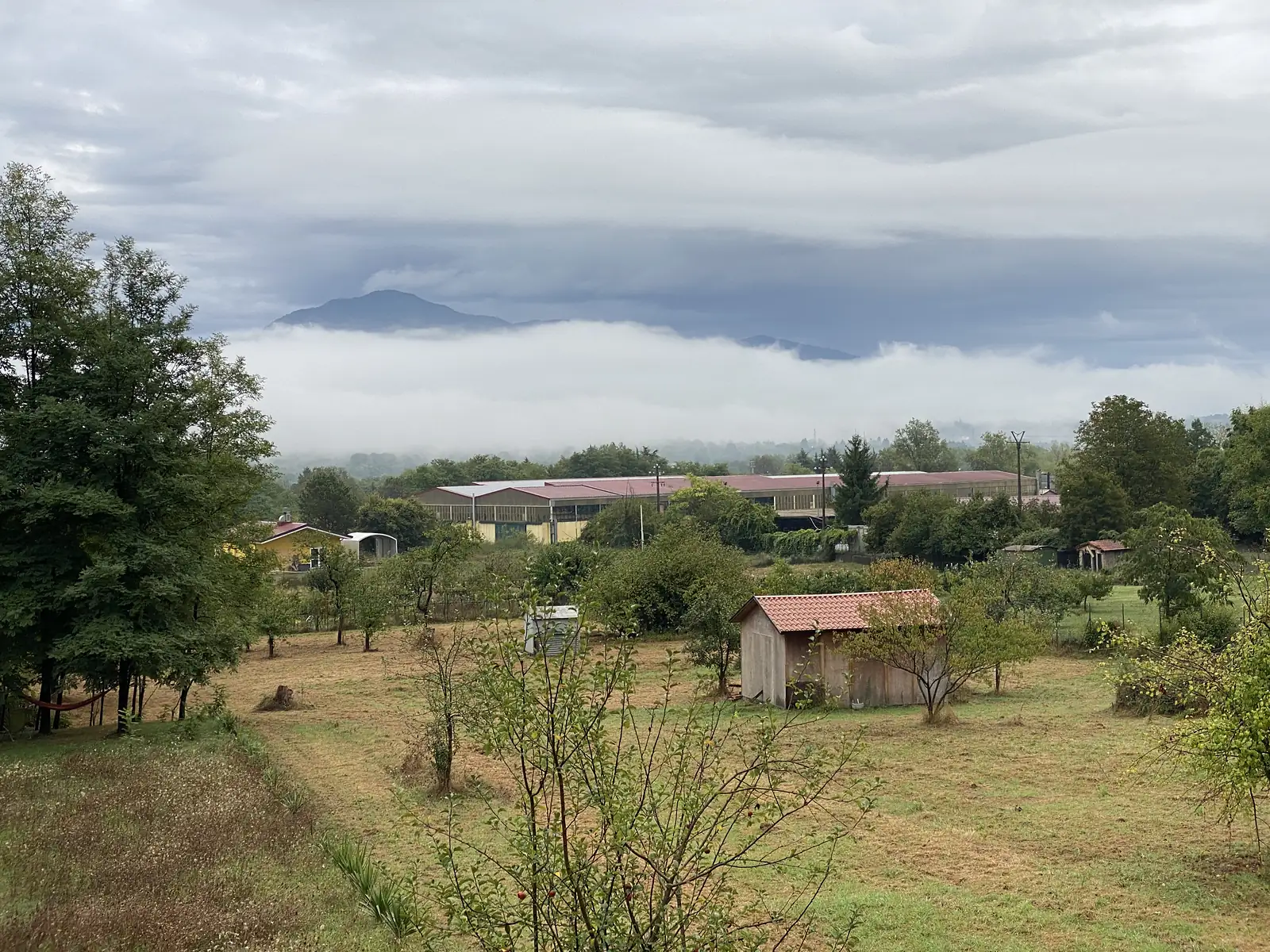 A smallholding with a red-roofed shed and grazed paddocks sits below cloud-wreathed hills, glimpsed past greenhouses and trees.
