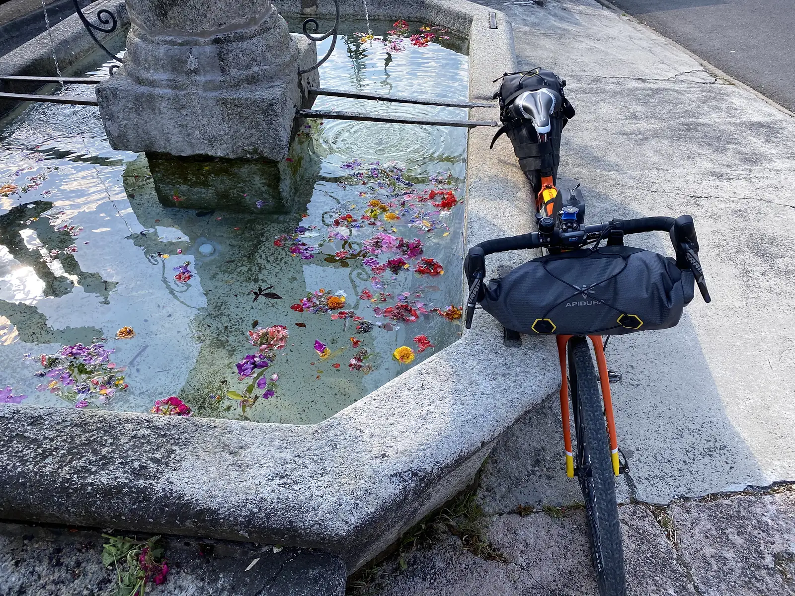 A stone fountain trough scattered with floating flower petals, with a laden gravel bike's handlebar bags propped against its rim on a cobbled square.