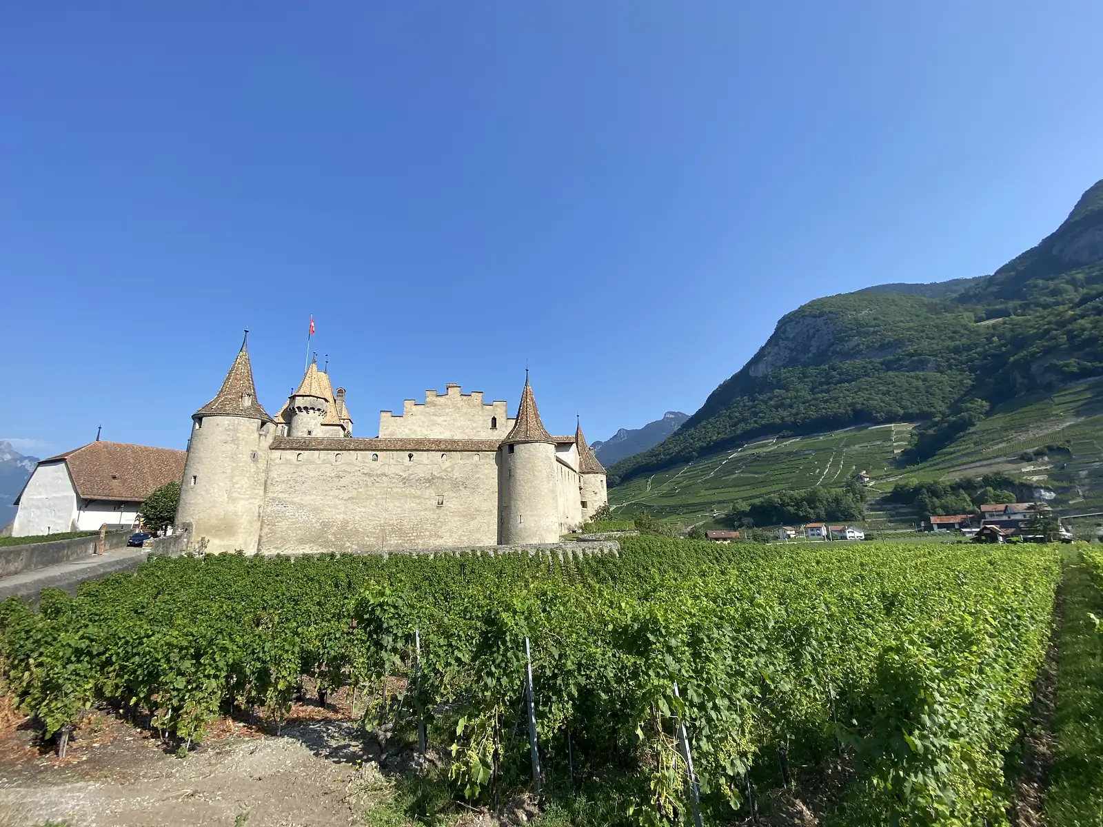 A pale stone castle with conical-roofed turrets and a Swiss flag stands above rows of vines, wooded hills rising steeply behind it.