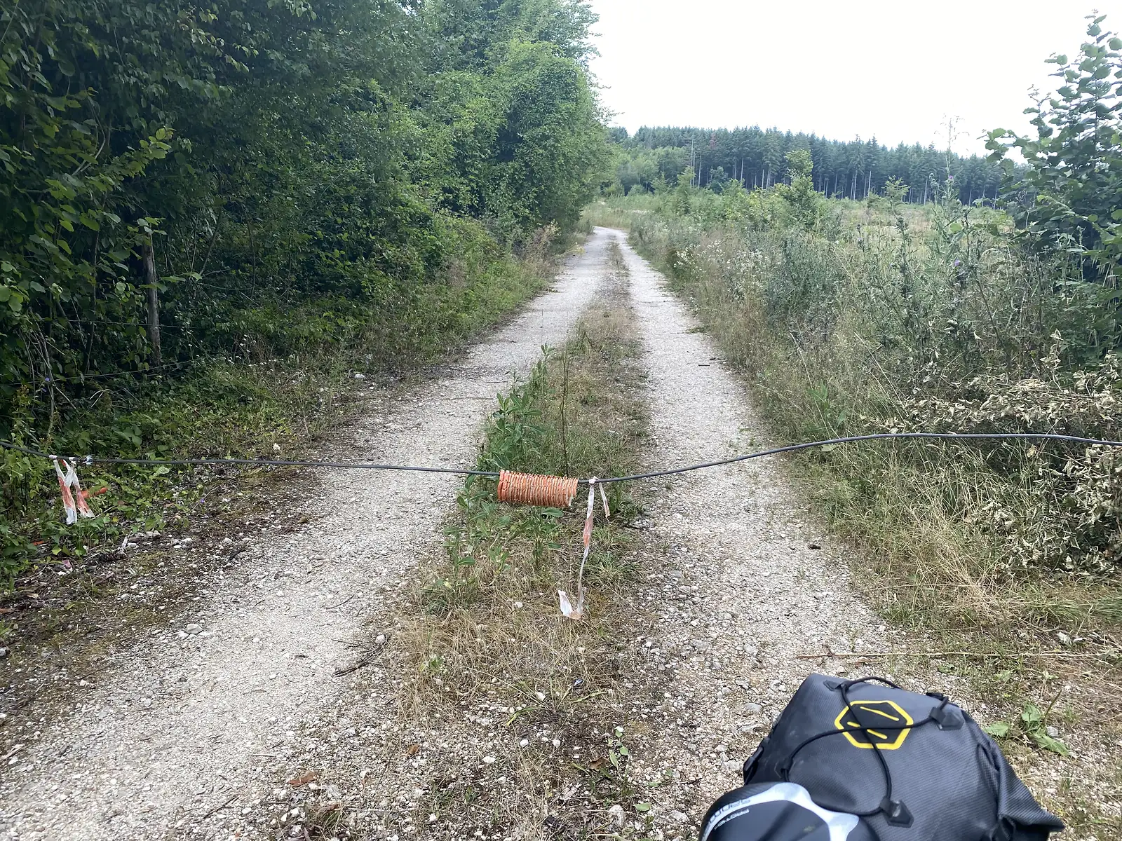 A gravel forestry track runs between hedgerows toward conifer woodland, a taut wire strung with orange marker tape crossing the path at chest height.