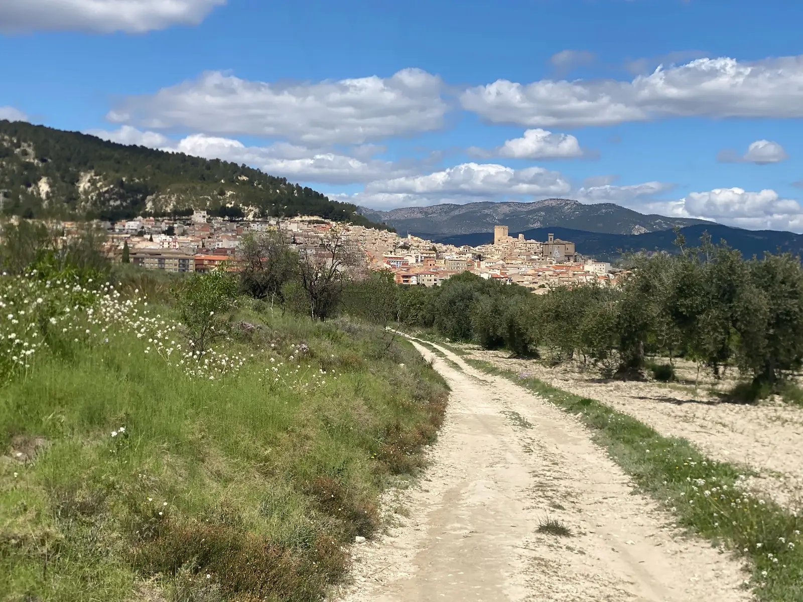 A dirt track running through olive groves and flowering scrub towards a hillside town of ochre houses beneath a castle tower, backed by mountains.