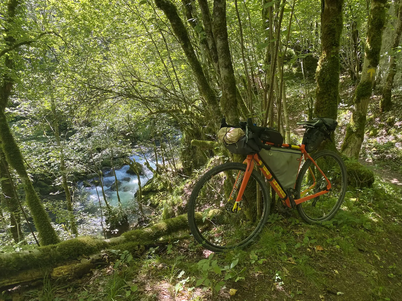 A loaded orange bikepacking bike leans against moss-covered trees on a ledge above a clear turquoise stream running through a wooded gorge.