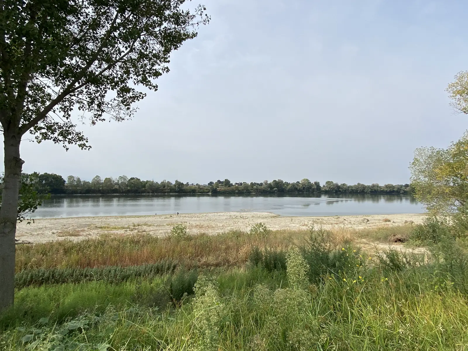 A willow tree overhangs a sandy river beach where a couple of distant figures walk along the water's edge, wooded banks curving away into the haze.