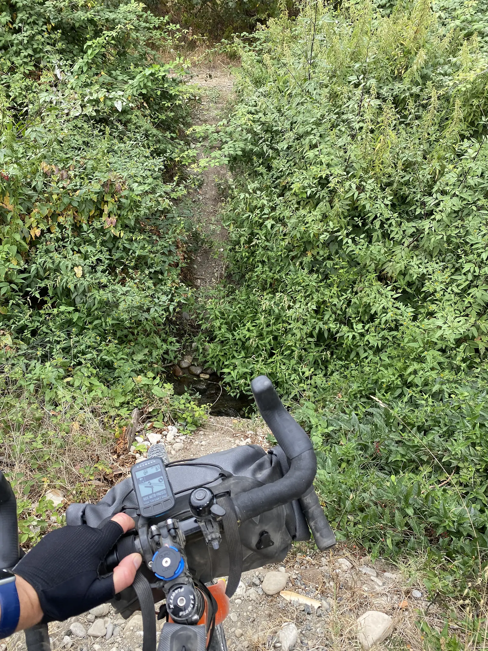 Looking down over loaded drop handlebars and a cycling computer showing route data, beside a gravel track edged with thick green vegetation.