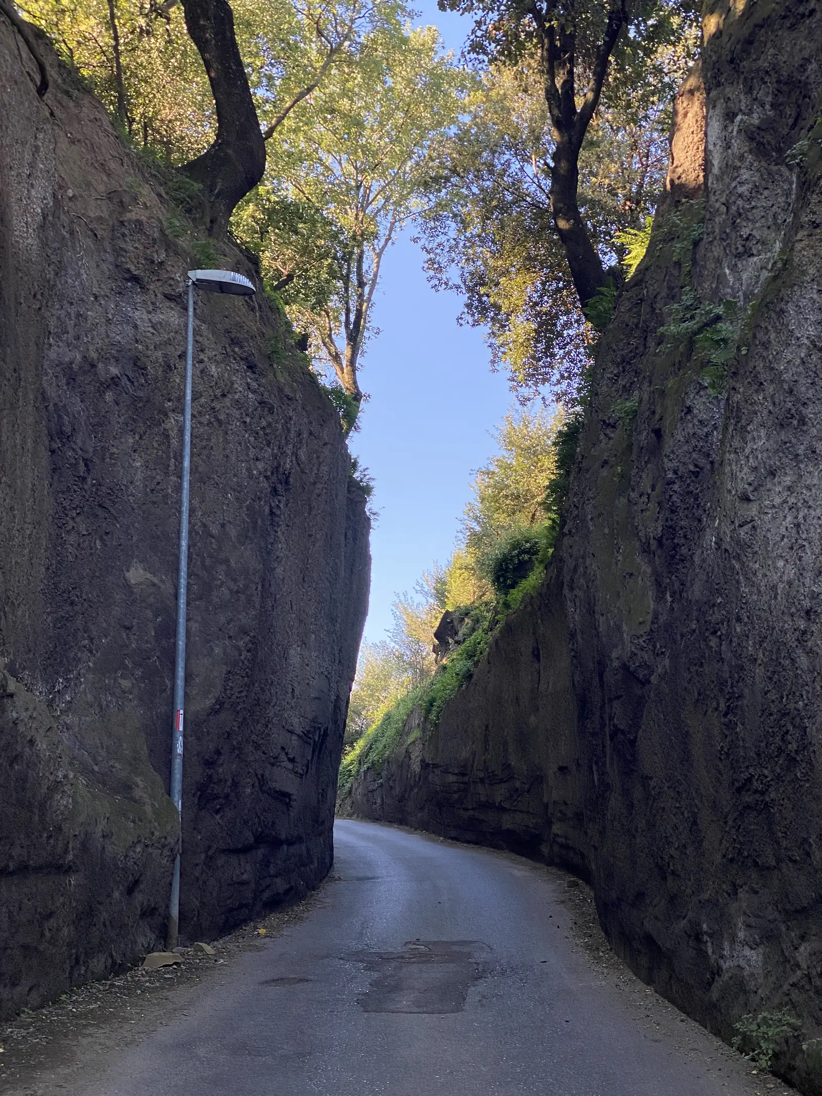 A road cutting deeply carved through moss-covered rock walls, trees forming a leafy canopy high overhead and a streetlamp mounted on the stone.