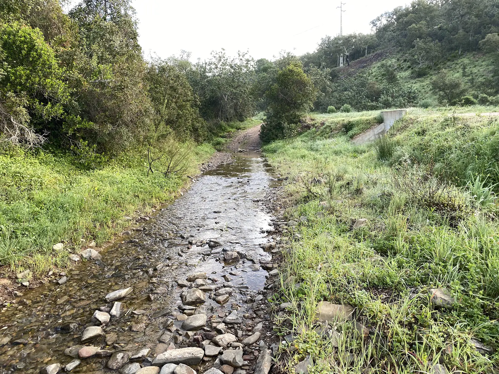 Shallow, stony stream running down the line of a track between green banks, with a concrete flood channel on the right and the track climbing away into trees ahead.