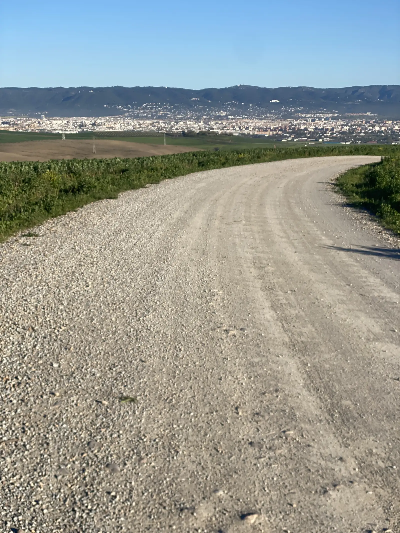 A pale gravel track curving along a ridge above orange groves, with a white city spread across the plain below a long mountain range.