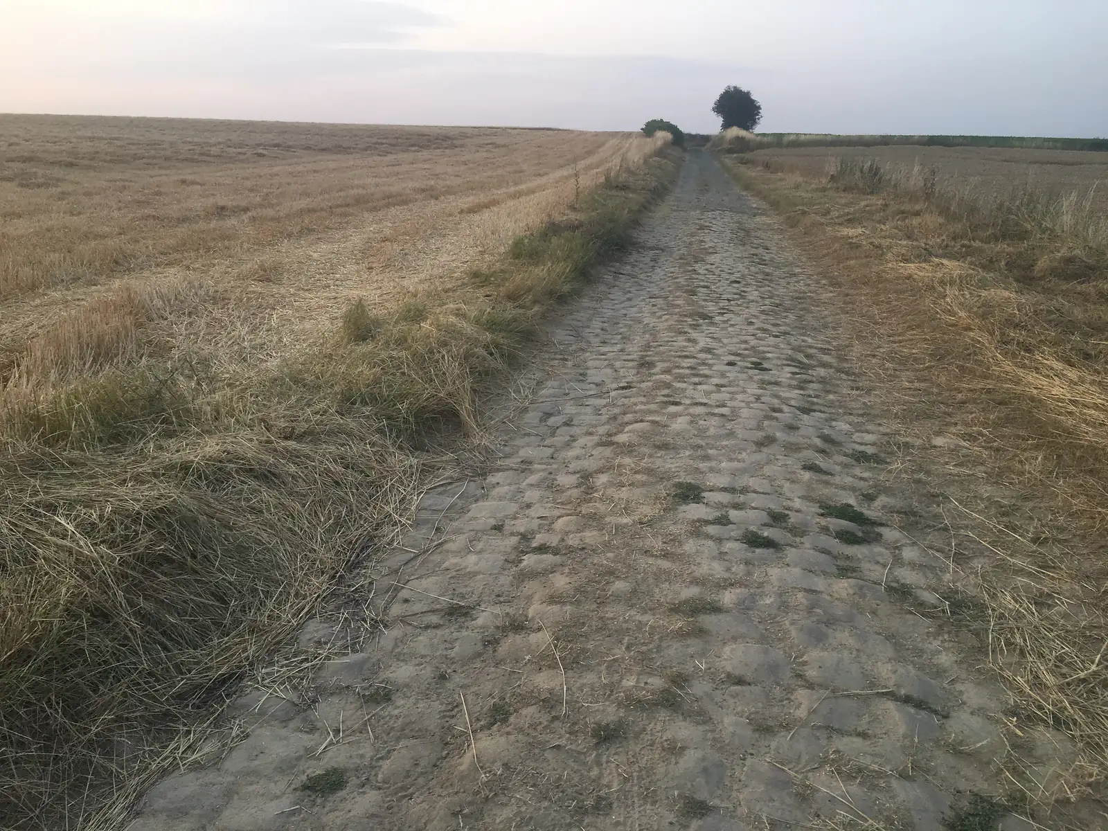 A stubble field stretches towards a hazy sunrise, with wind turbines just visible on a distant ridge beyond a fence line.