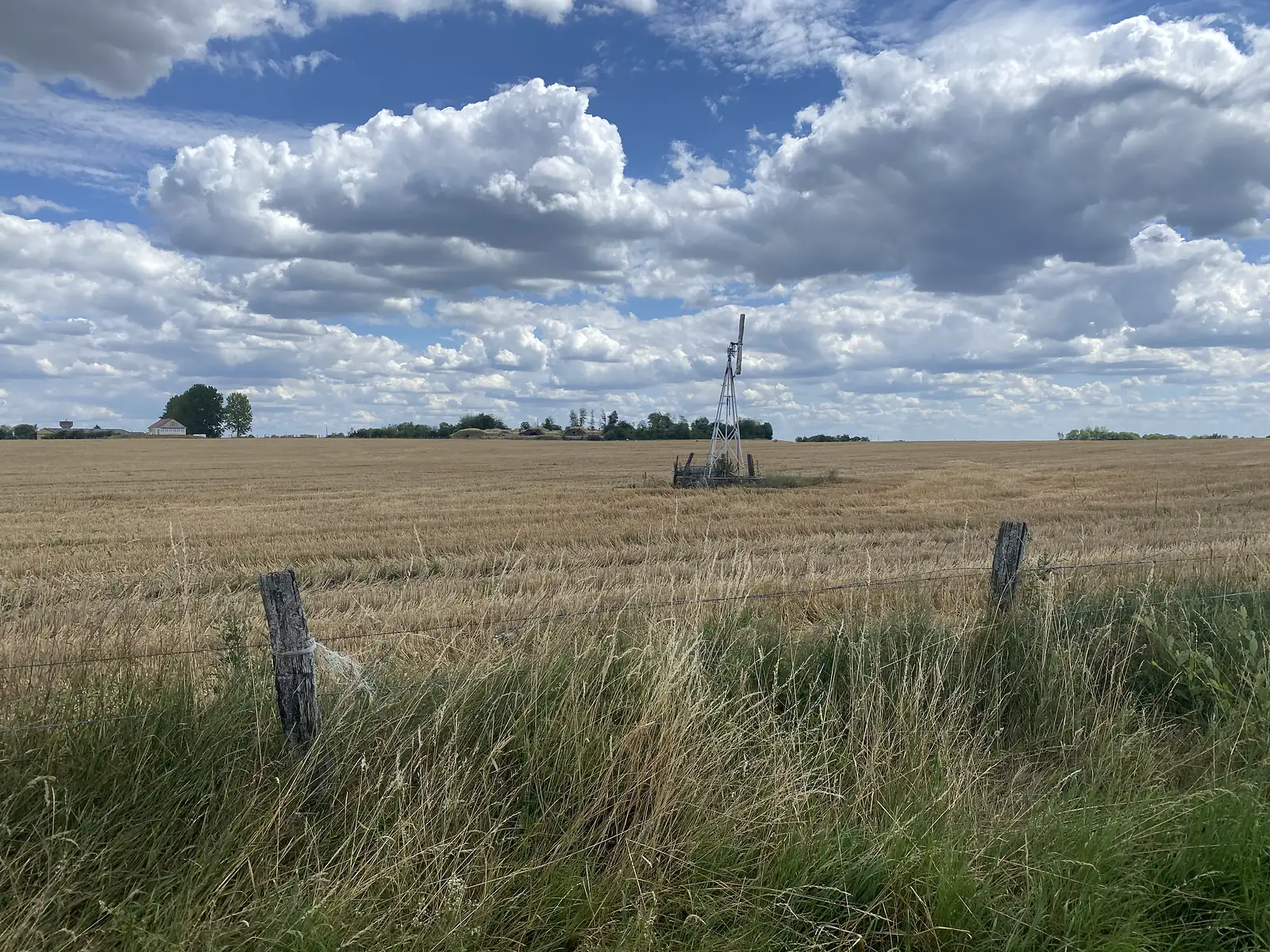 An old wind-powered water pump stands alone in a field of golden wheat stubble, farm buildings visible on the horizon.