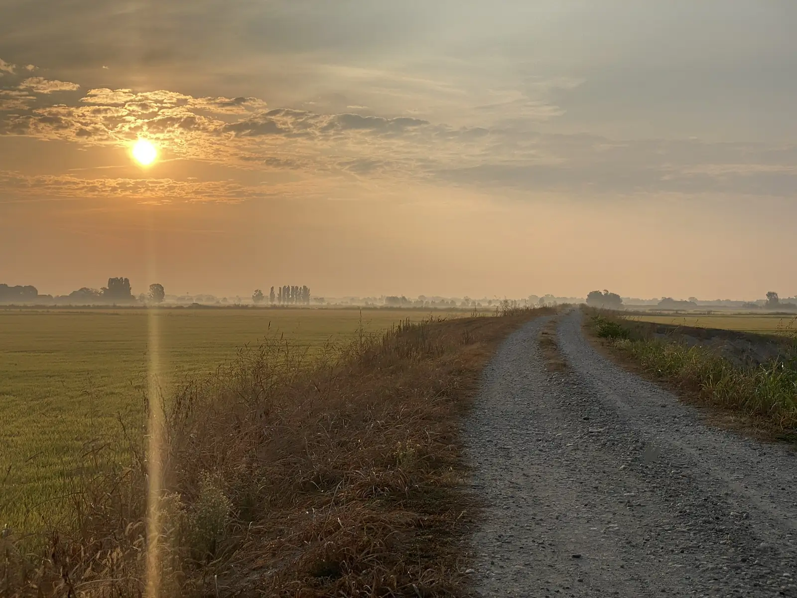 A stony farm track curves between fields towards a misty tree line as the sun breaks through morning cloud.