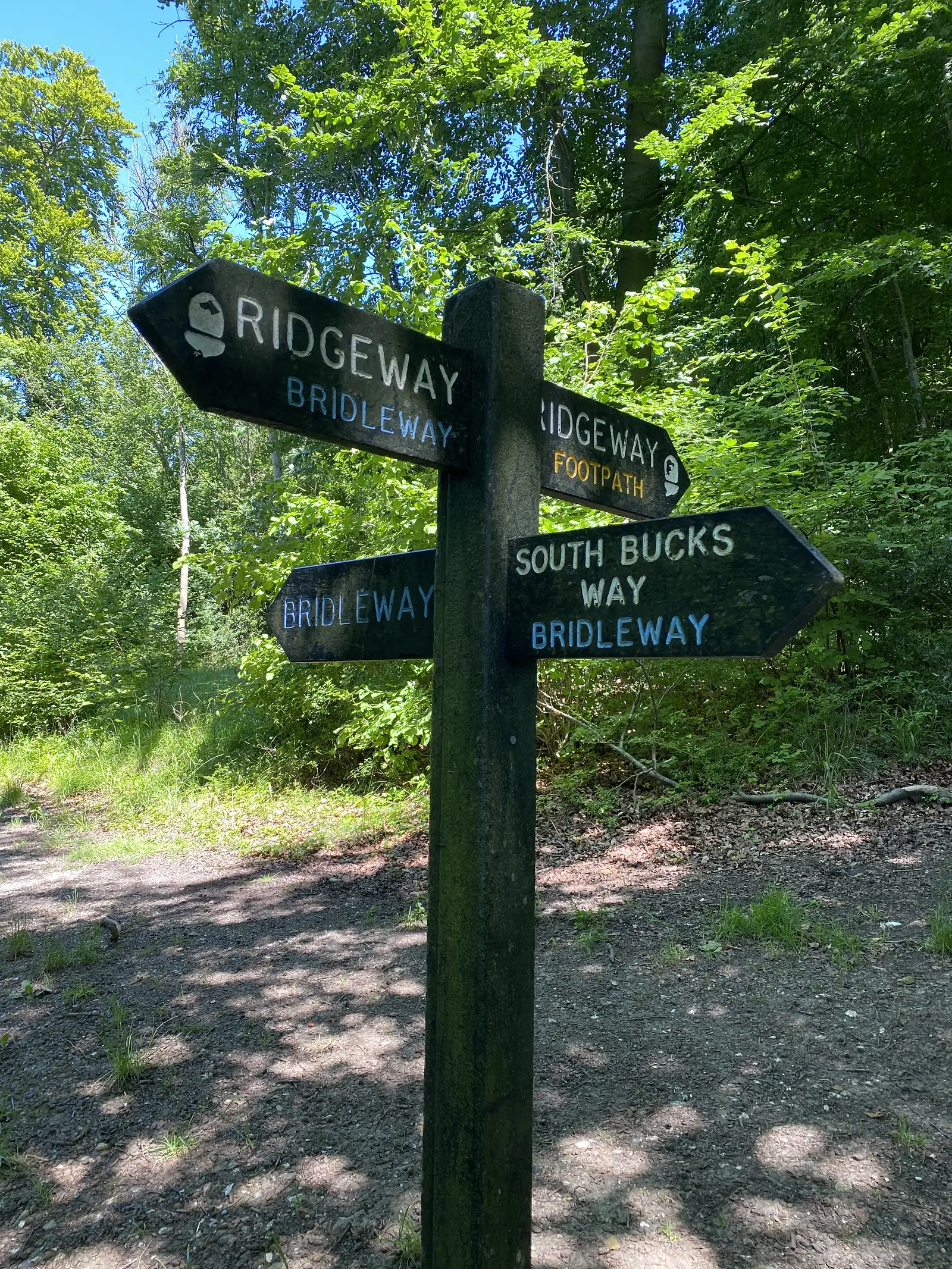 A weathered wooden fingerpost in beech woods with arms reading "RIDGEWAY BRIDLEWAY", "RIDGEWAY FOOTPATH" and "SOUTH BUCKS WAY BRIDLEWAY".