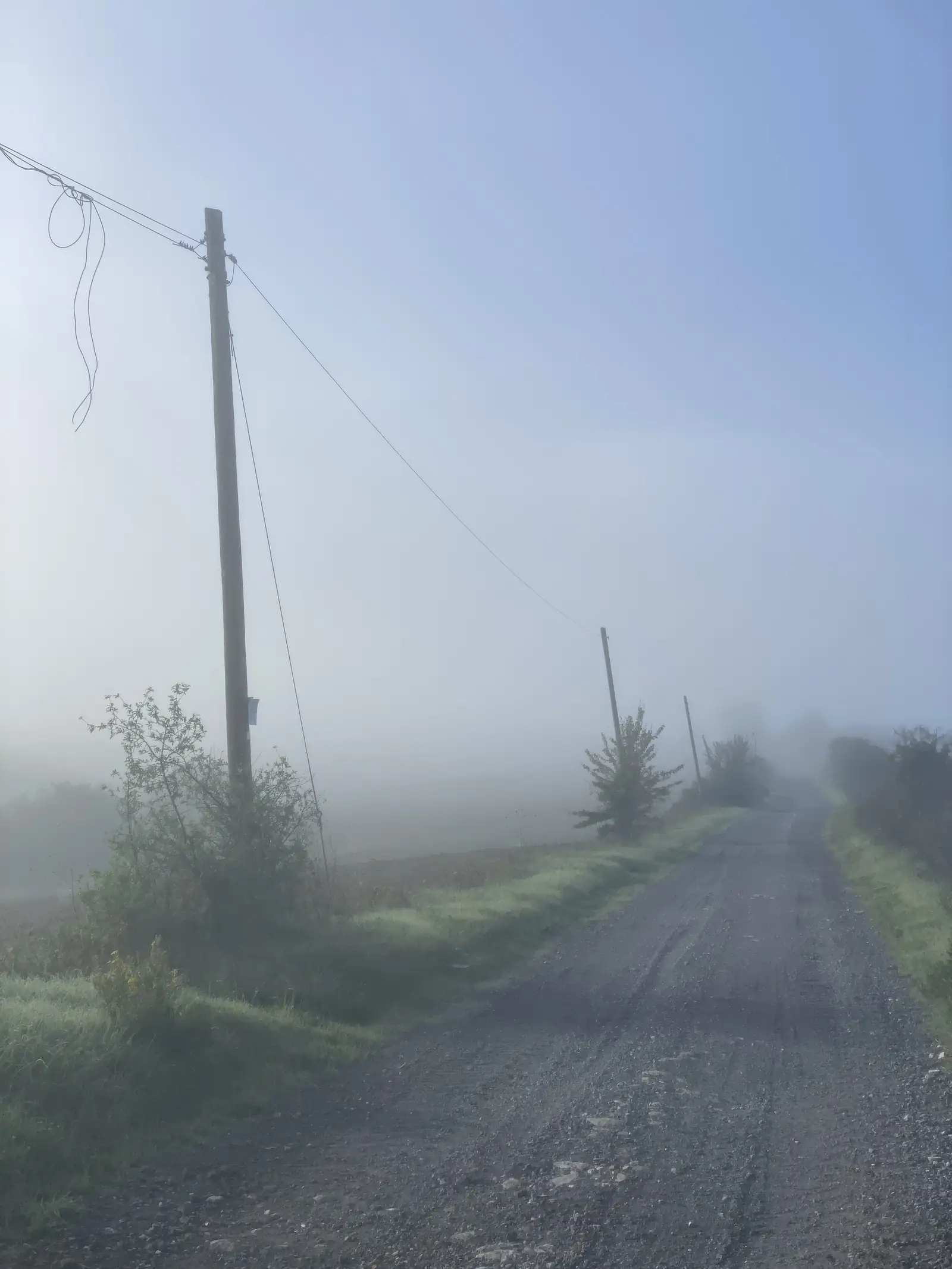 A wooden telegraph pole with sagging wires stands beside a gravel track receding into thick morning mist.