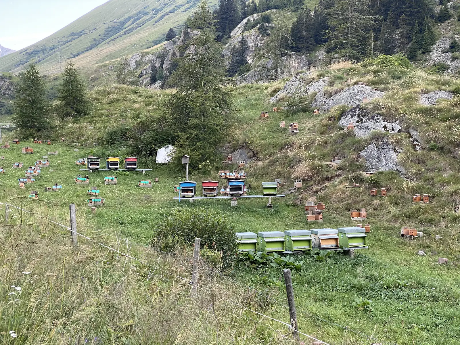 Rows of brightly painted beehives and small wooden bee shelters are dotted across a grassy alpine slope beneath rocky outcrops.
