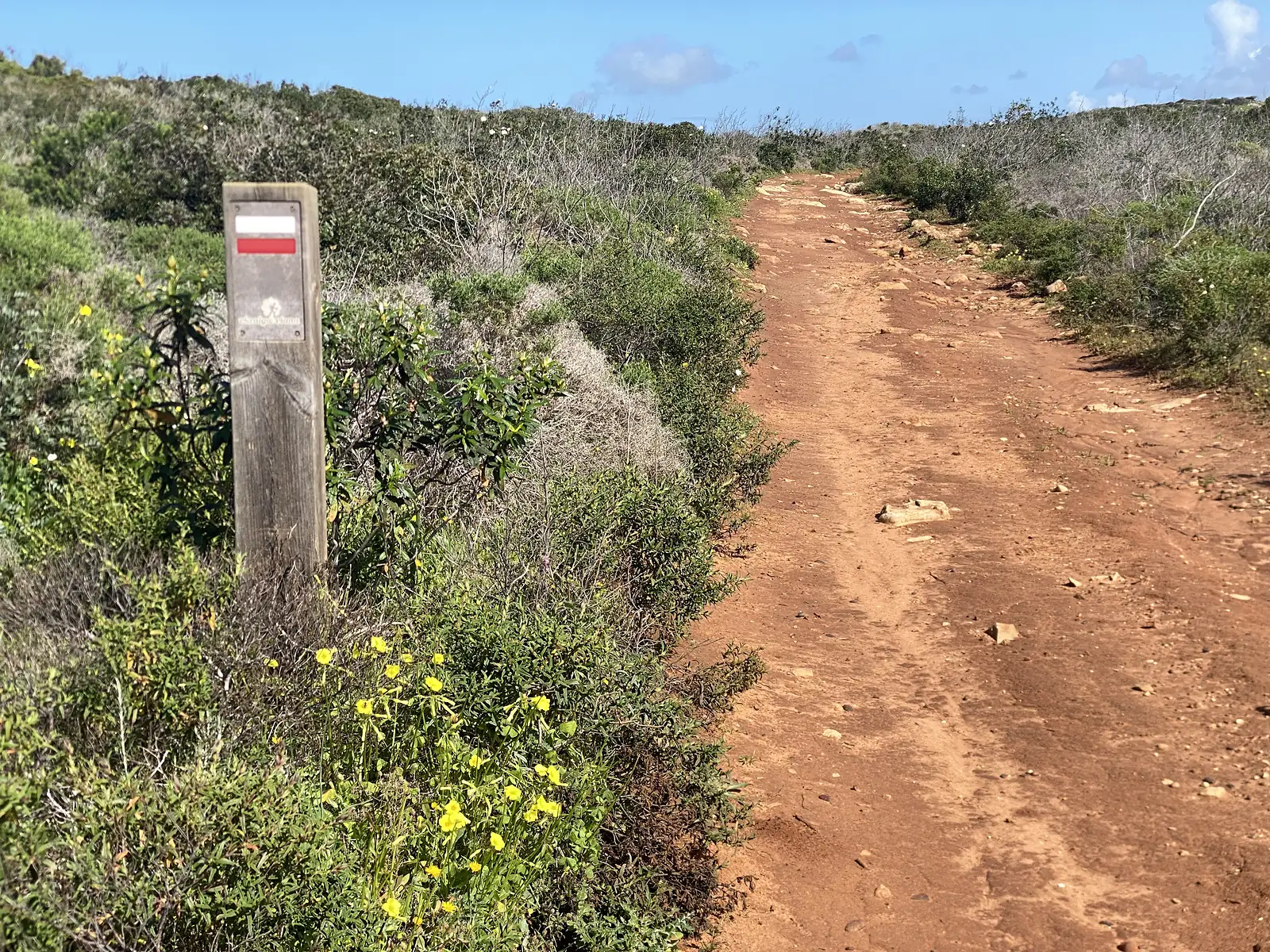 Weathered wooden waymarker post carrying a red-and-white painted stripe beside a broad red-earth track, low coastal scrub and yellow flowers crowding the verge.