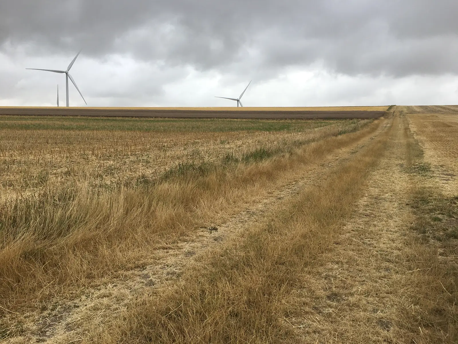 A grassy tractor track through stubble fields leads towards wind turbines standing against a brooding, cloud-filled sky.