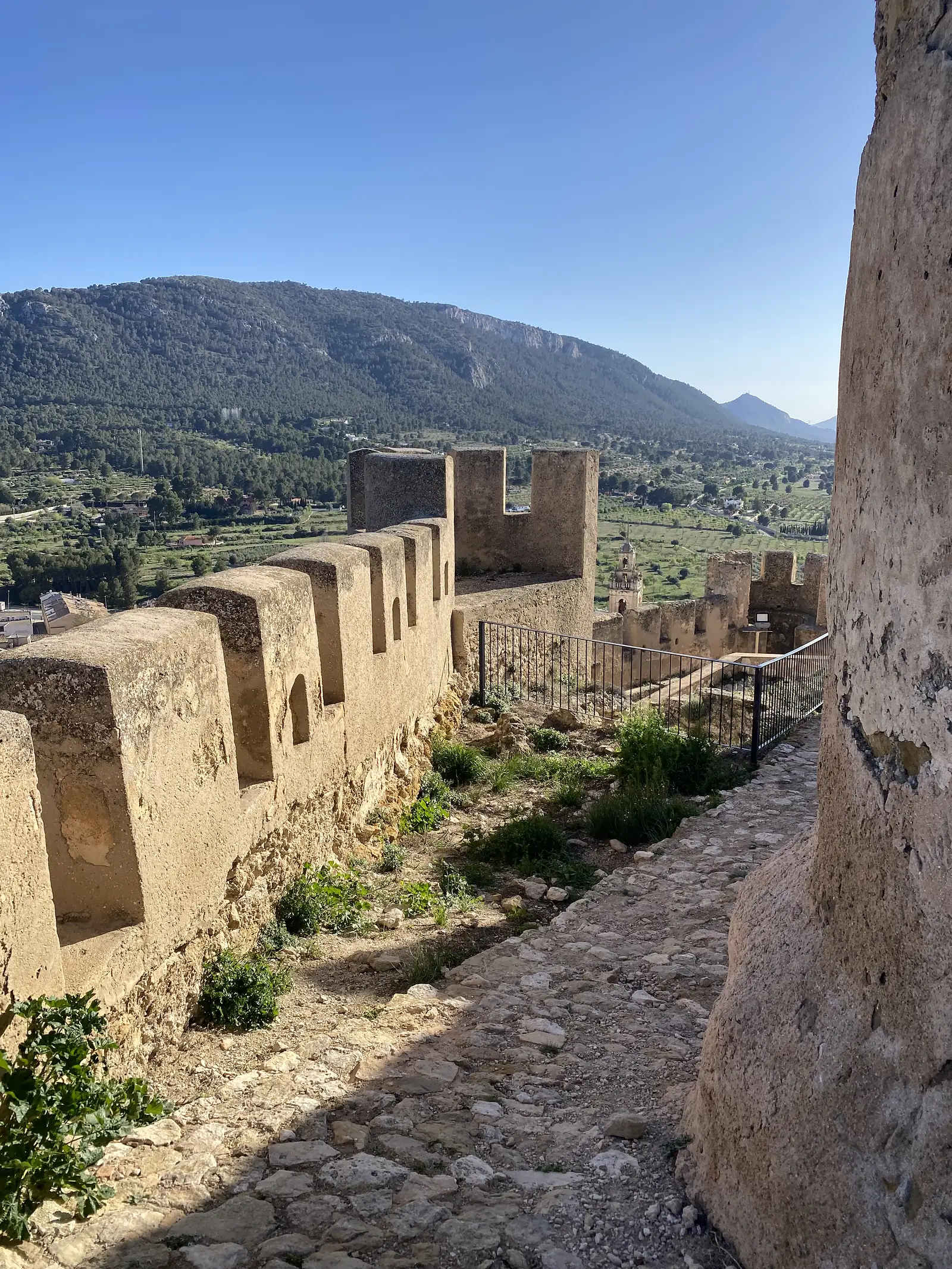 A castle's crenellated curtain wall running along a rocky ridge, looking out over orchards to a long wooded mountain.