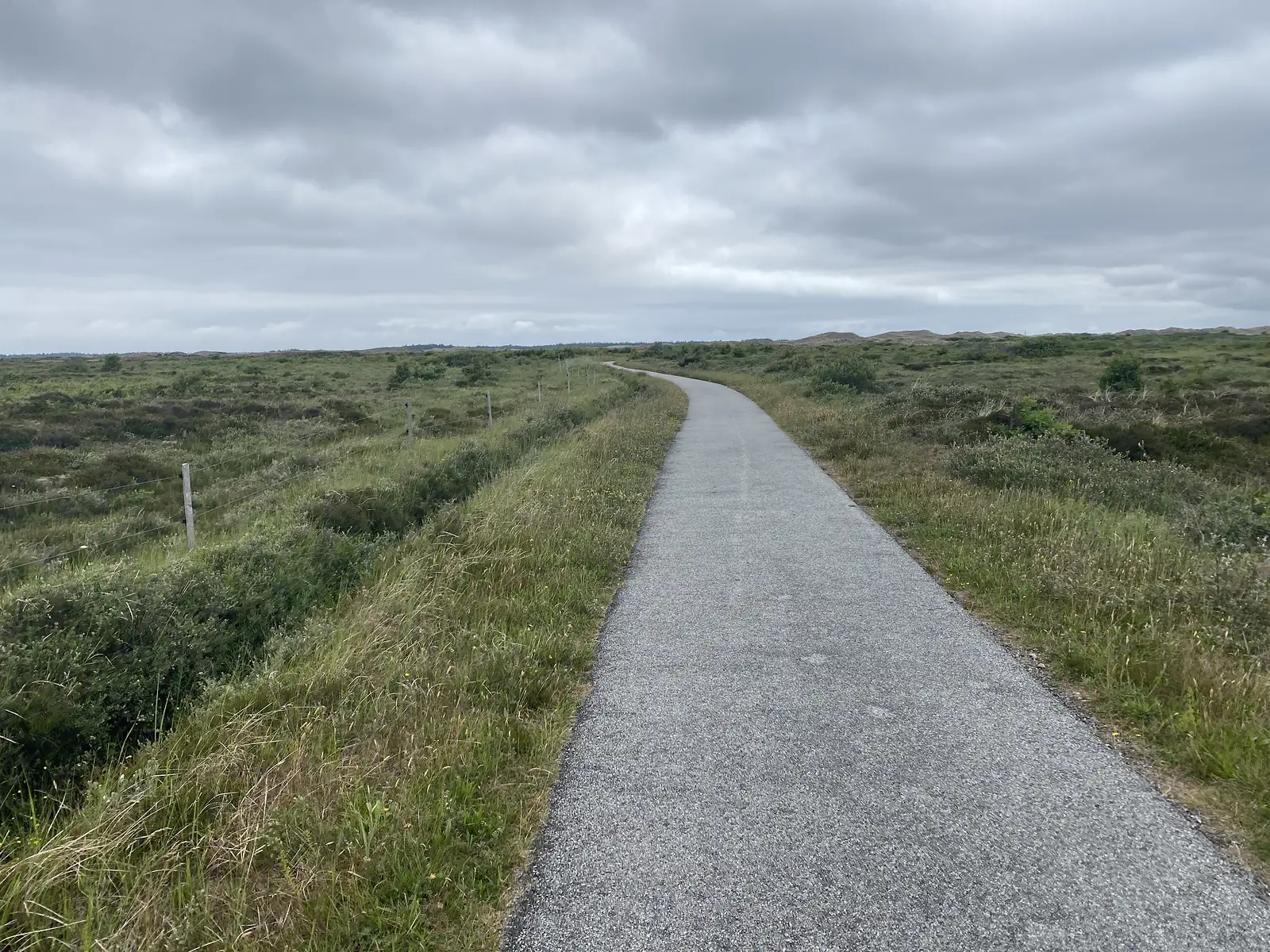 A narrow asphalt path running away across low dune heath under a heavy grey sky.