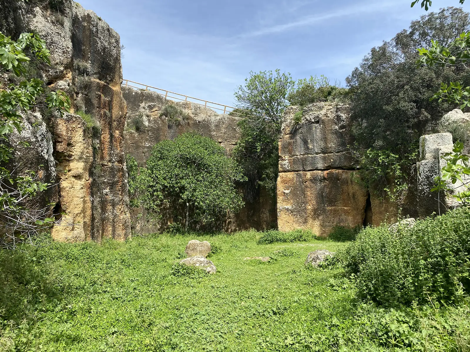 The sheer cut faces of a disused stone quarry, grassed over at the base, with fig trees and a wire fence along the rim.