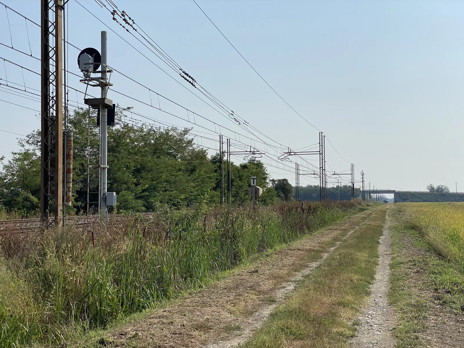 Electrified railway tracks curve into the distance past overhead gantries and a signal post, bordered by a gravel path and rice fields.