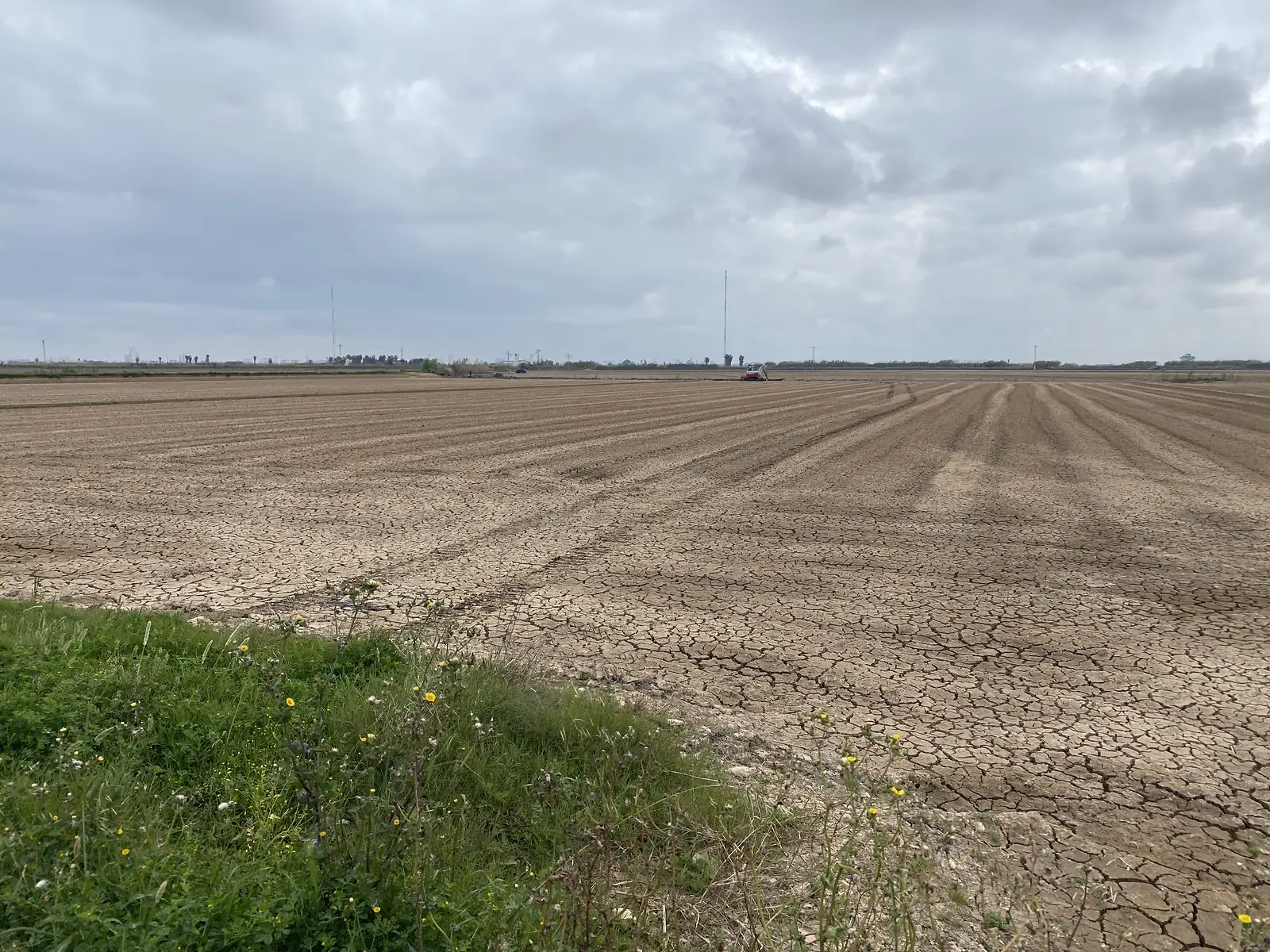 A ploughed rice field of cracked brown mud with a tractor working along the far edge under a grey sky.