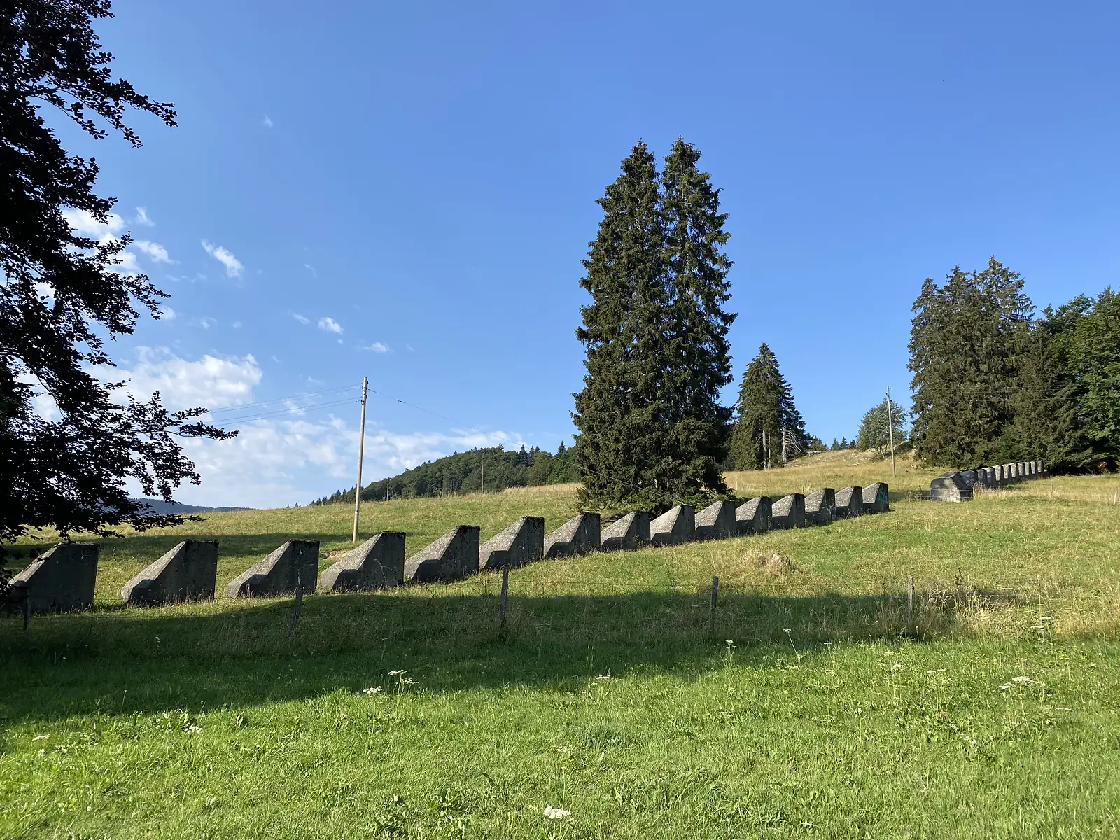 A line of concrete anti-tank 'dragon's teeth' obstacles running across a grassy hillside meadow, a relic of Swiss wartime border defences.