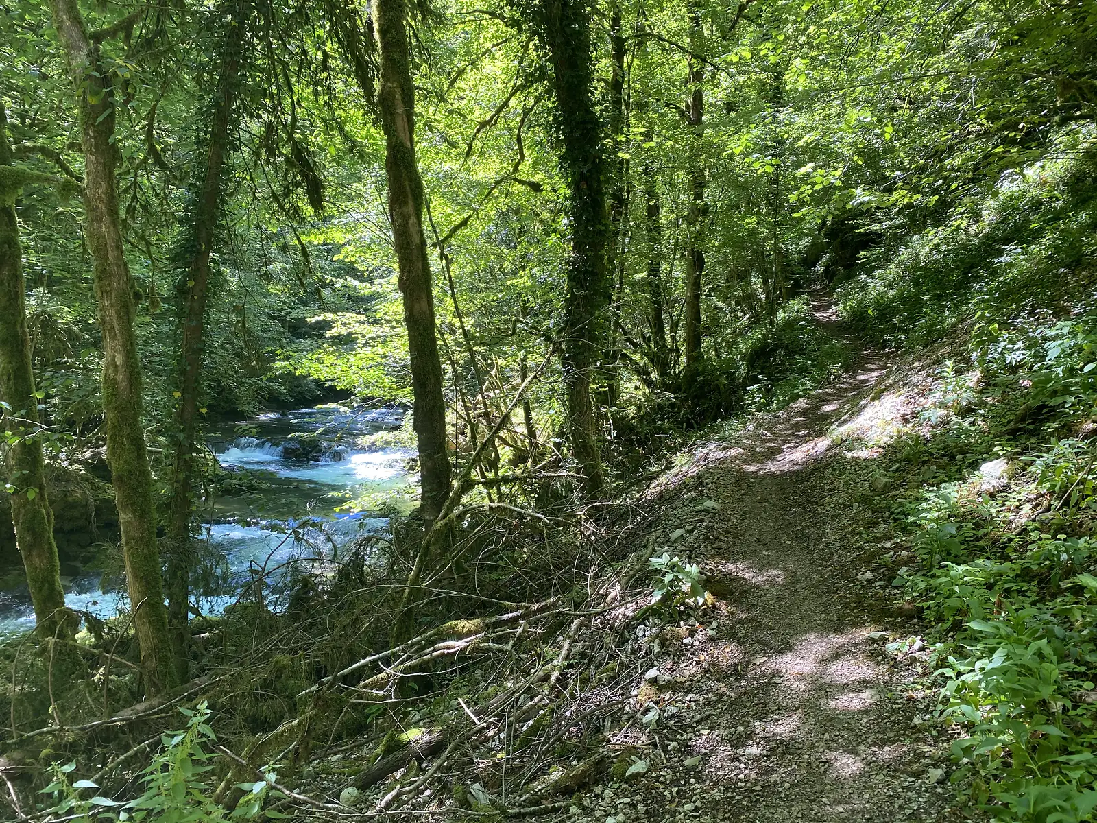 A narrow dirt path threads along a wooded gorge above a fast-flowing turquoise stream, moss-covered tree trunks lining the way.
