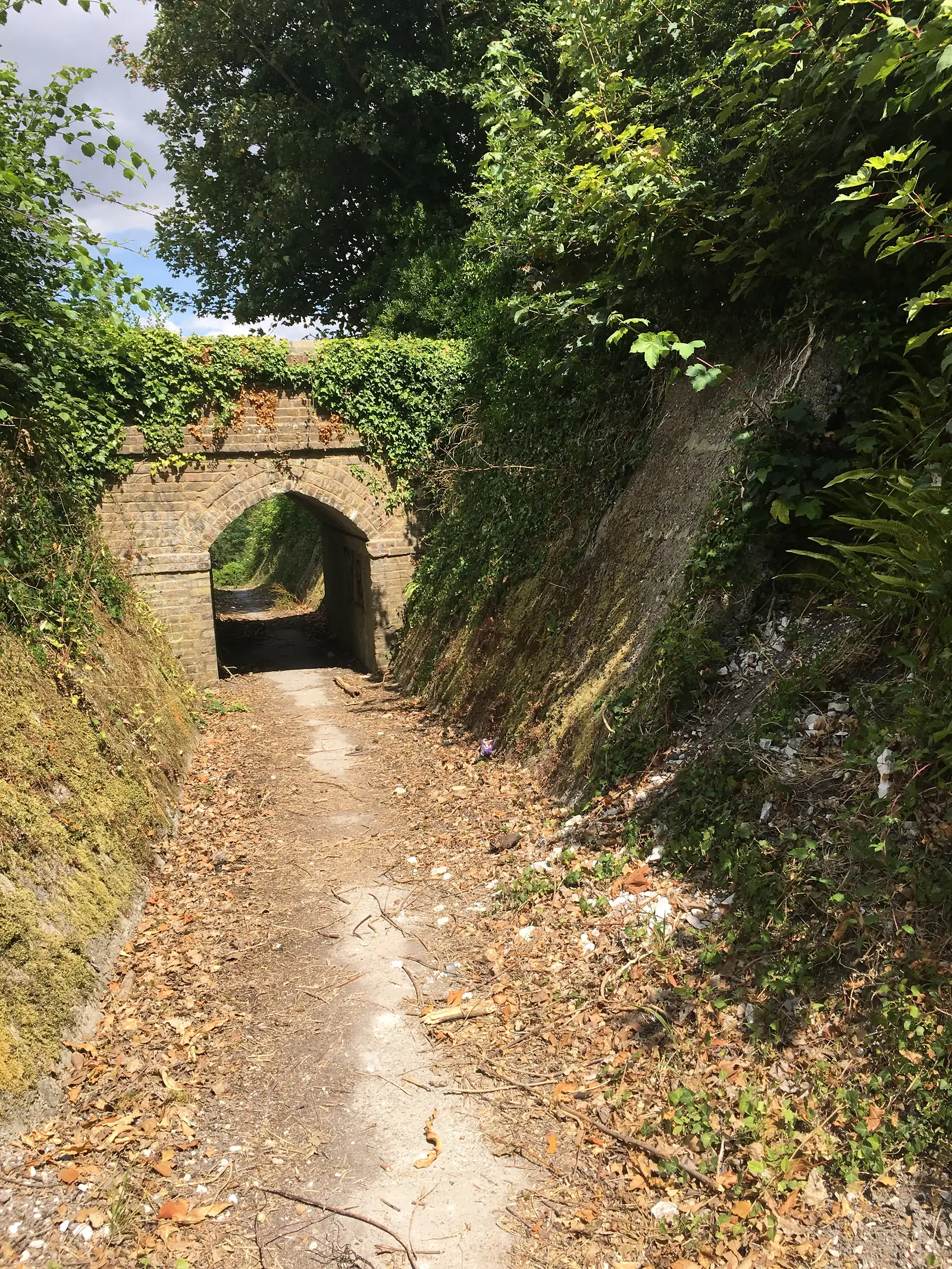 Bridge