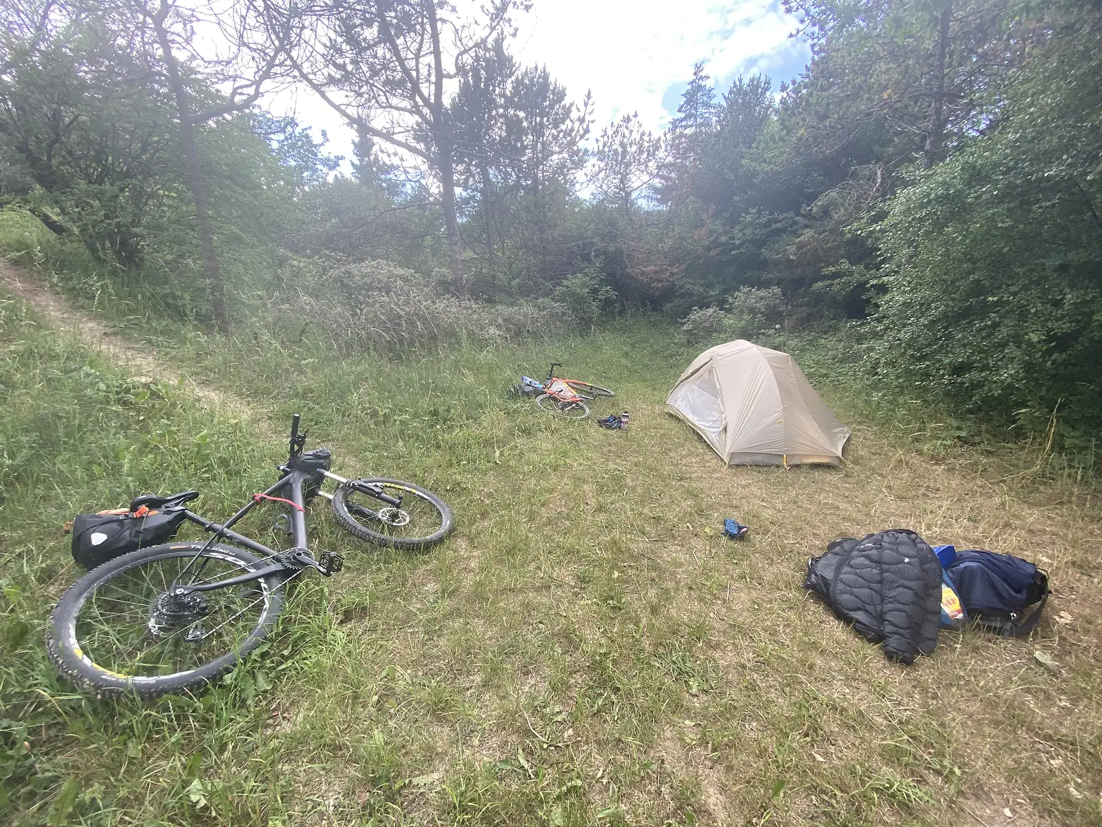 A wild camp in a grassy dune clearing, with a small tent pitched among pines, two loaded bikes laid on the grass and sleeping gear spread out.